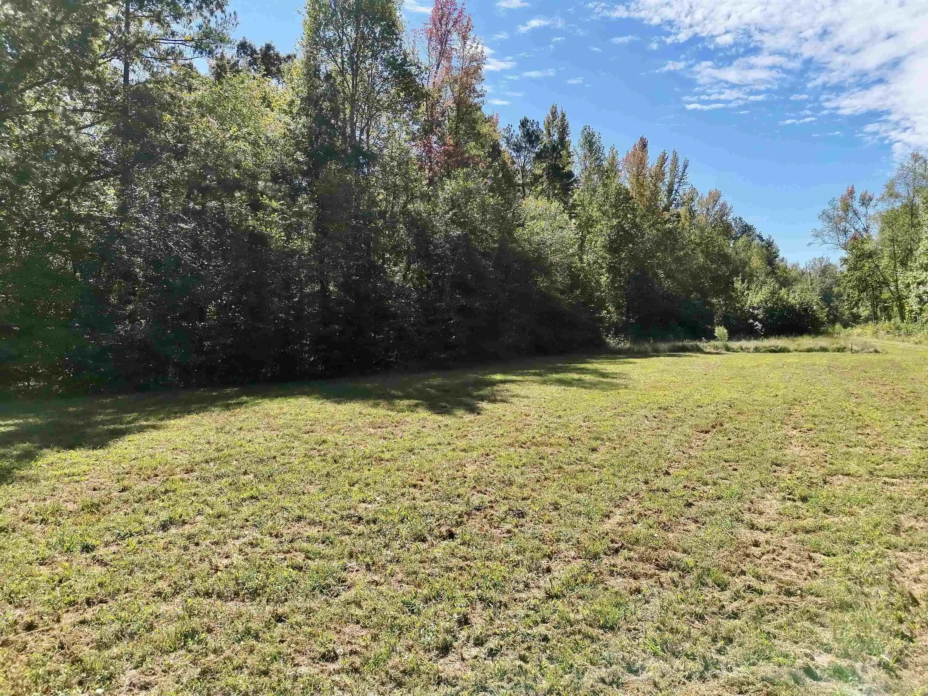 Photo 4 of Land for sale at 0 Cora Ln, Toone, TN 38381 | MLS# 10231712 | Listing updated on 2026-10-03