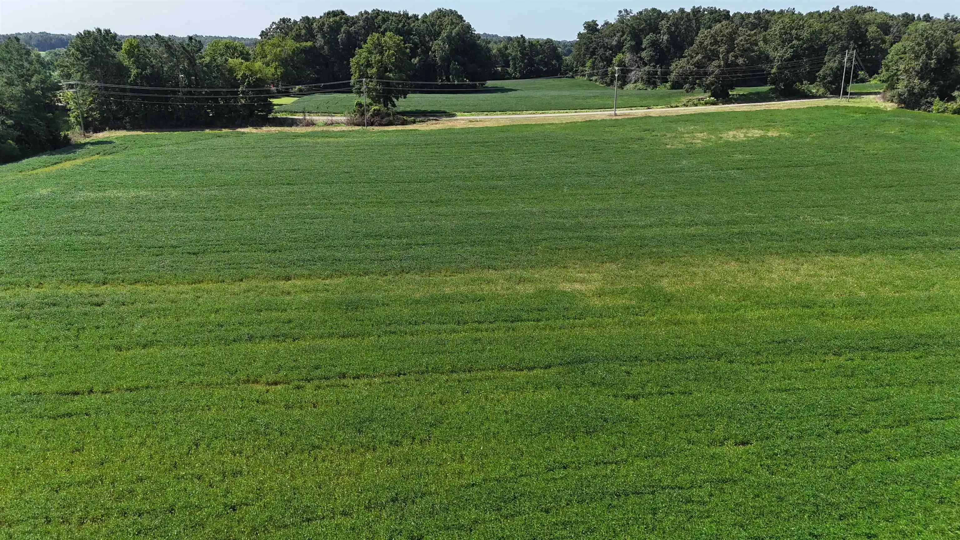 Photo 1 of Land for sale at 9539 Hardin Graveyard Rd, Morris Chapel, TN 38361 | MLS# 10231714 | Listing updated on 2026-10-03