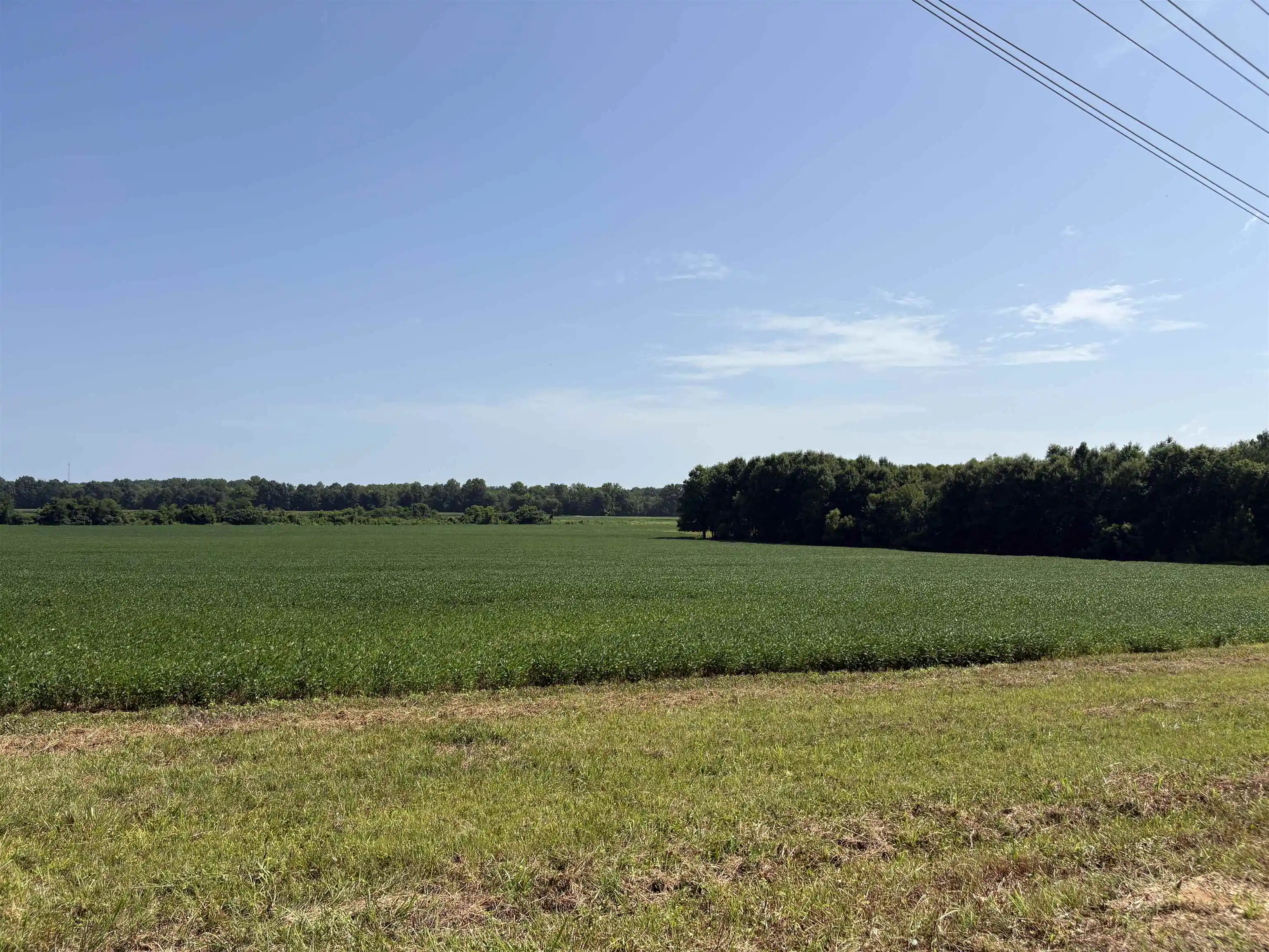 Photo 2 of Land for sale at 9539 Hardin Graveyard Rd, Morris Chapel, TN 38361 | MLS# 10231714 | Listing updated on 2026-10-03
