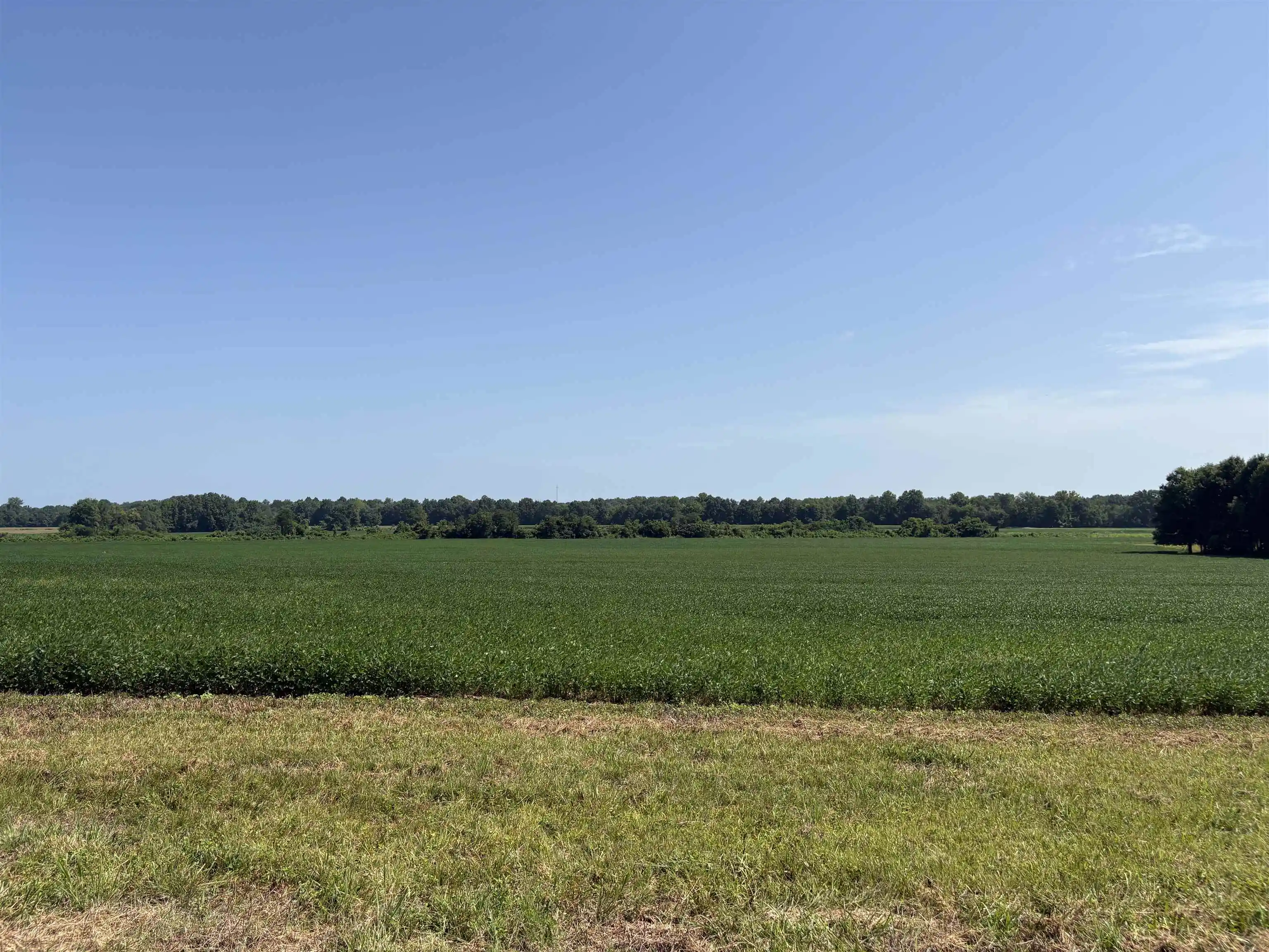 Photo 3 of Land for sale at 9539 Hardin Graveyard Rd, Morris Chapel, TN 38361 | MLS# 10231714 | Listing updated on 2026-10-03