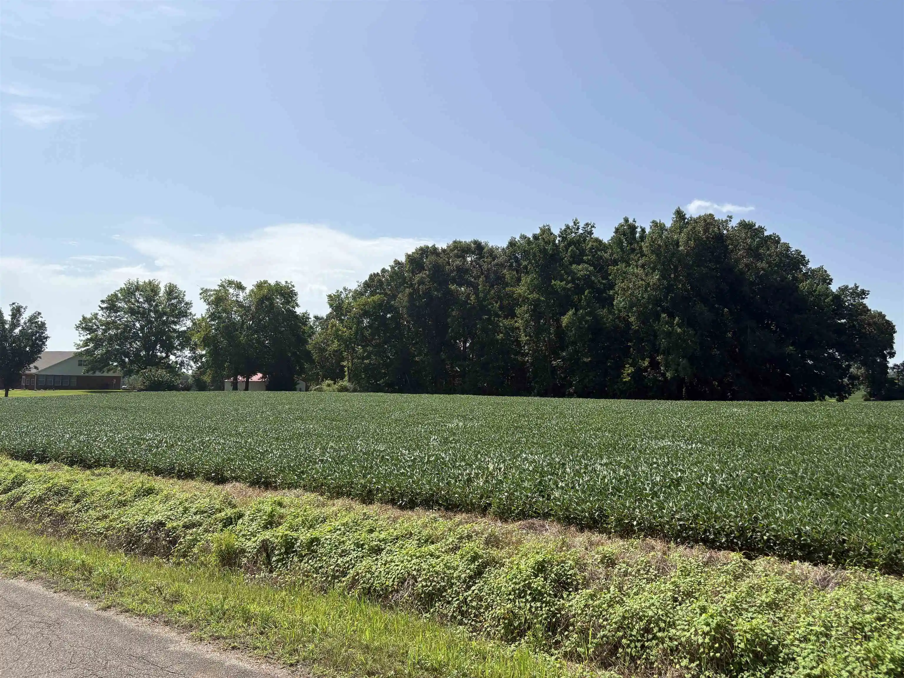 Photo 4 of Land for sale at 9539 Hardin Graveyard Rd, Morris Chapel, TN 38361 | MLS# 10231714 | Listing updated on 2026-10-03