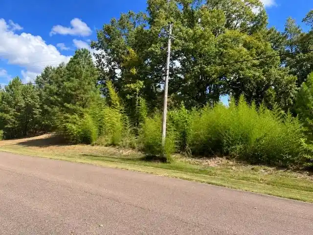 Photo 1 of Land for sale at 425 Hickory Woods Ln, Eads, TN 38028 | MLS# 10231724 | Listing updated on 2026-10-09