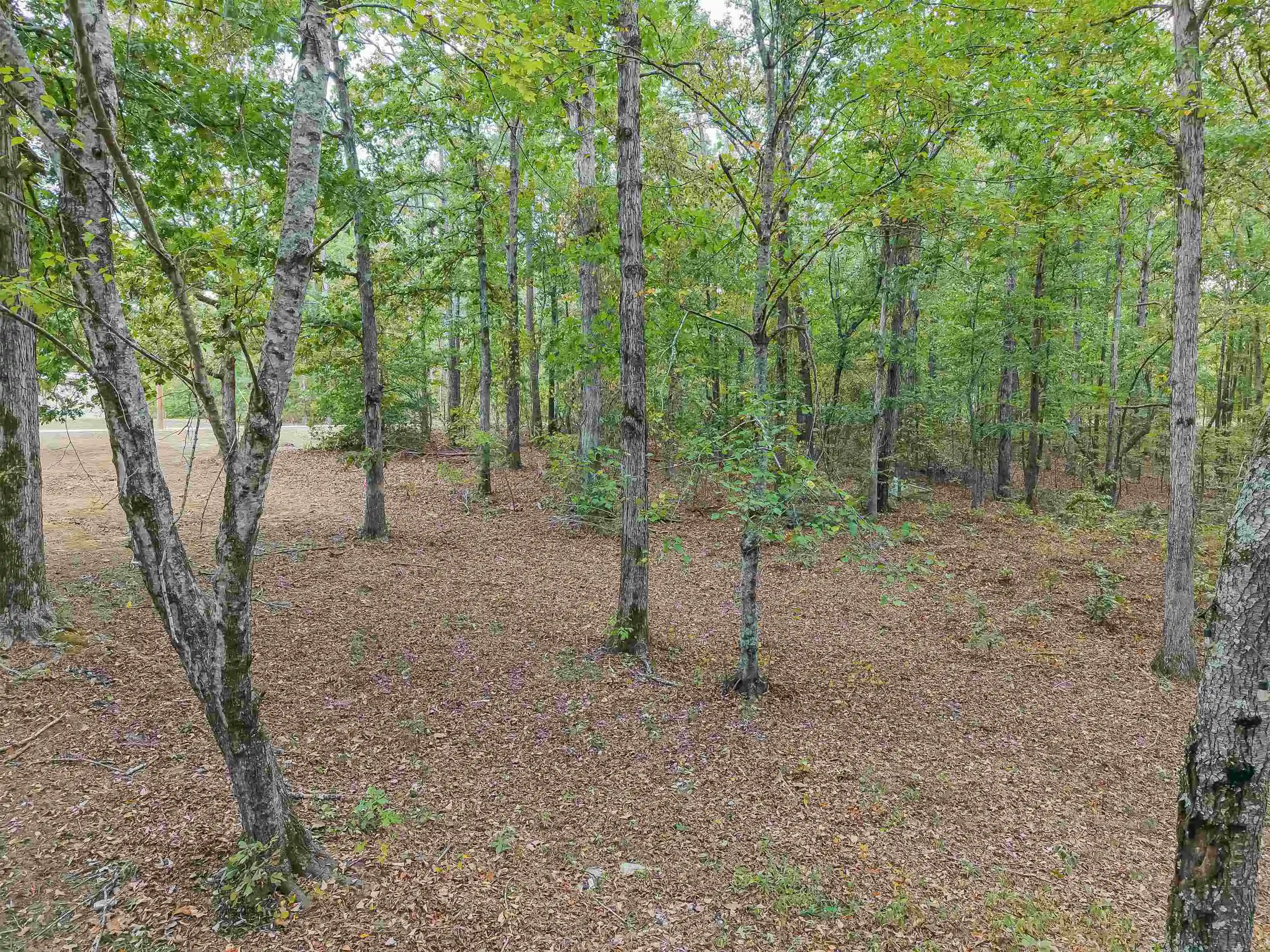 Photo 2 of Single family home for sale at 3532 Ramer Selmer Rd, Ramer, TN 38367 | MLS# 10231739 | Listing updated on 2026-10-05