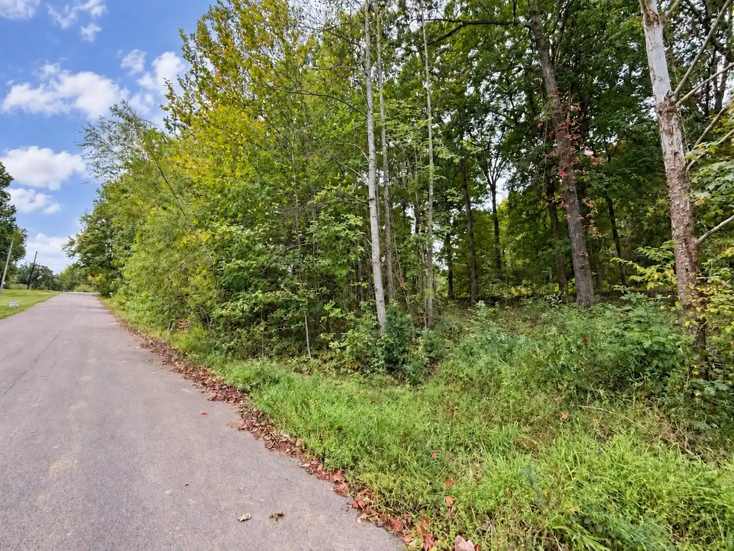 Photo 3 of Land for sale at 235 Millie Ln, Atoka, TN 38004 | MLS# 10231763 | Listing updated on 2026-10-06