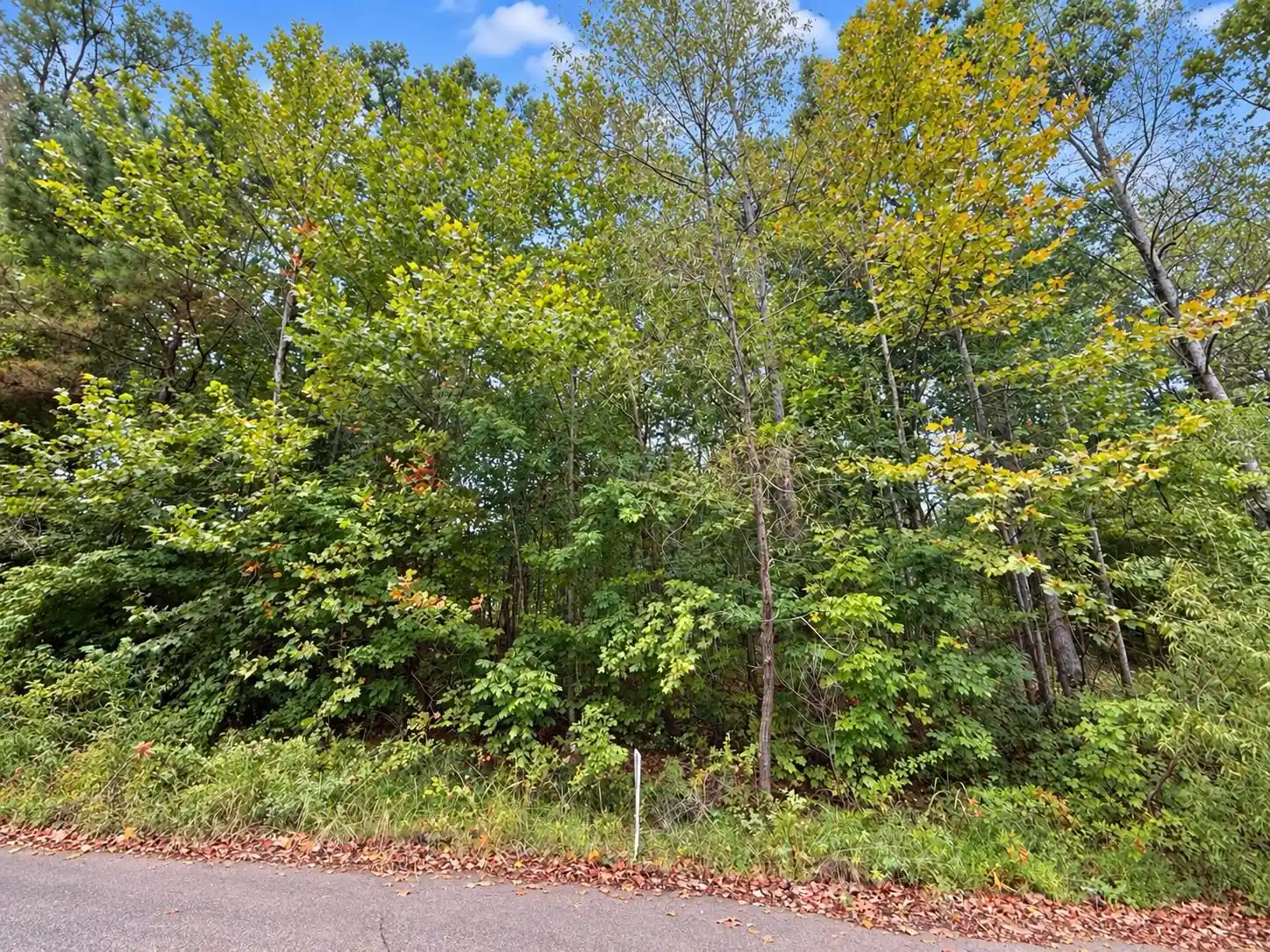 Photo 4 of Land for sale at 235 Millie Ln, Atoka, TN 38004 | MLS# 10231763 | Listing updated on 2026-10-06