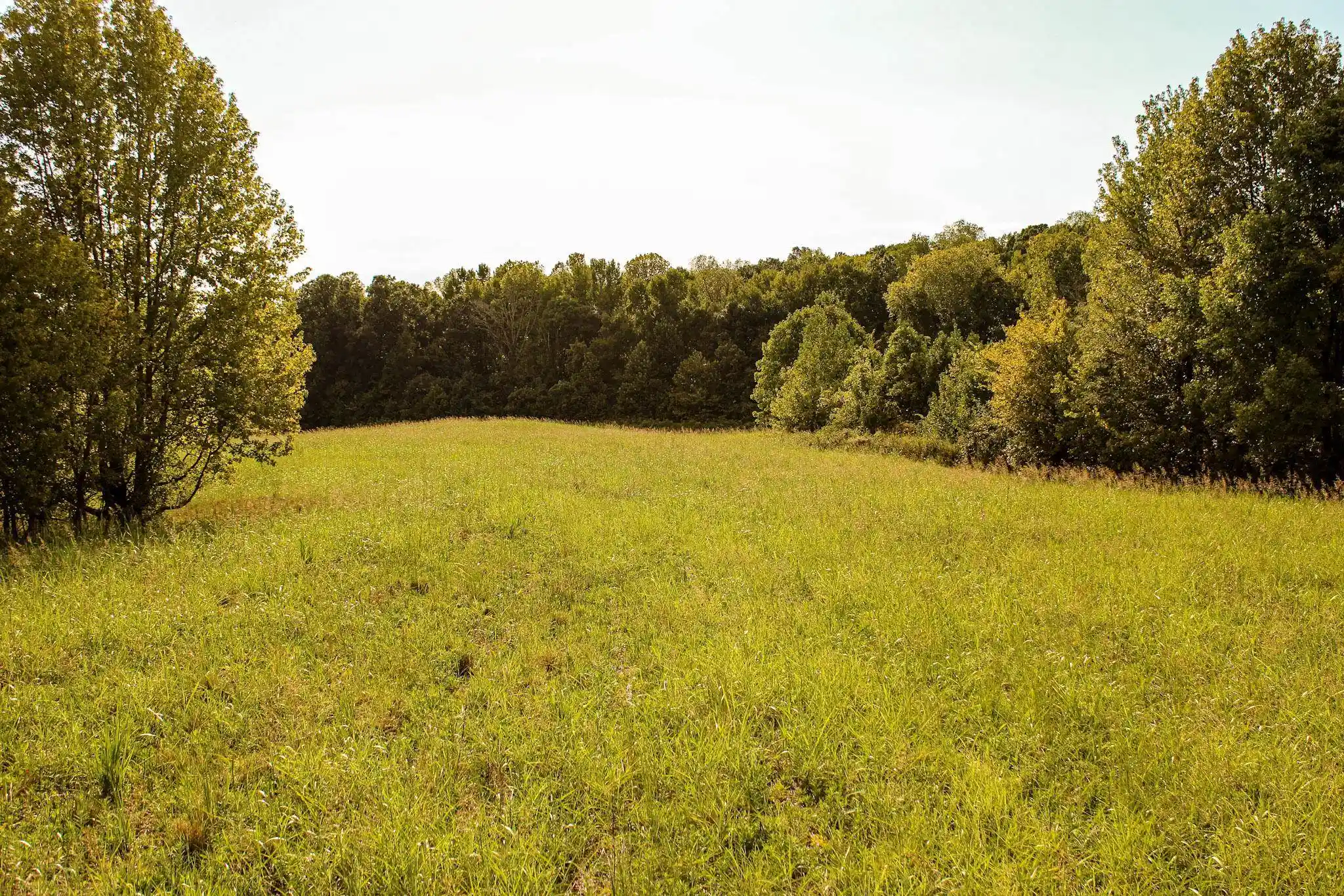 Photo 1 of Land for sale at 0 Dunlap Orphanage Rd, Brighton, TN 38011 | MLS# 10231788 | Listing updated on 2026-10-05