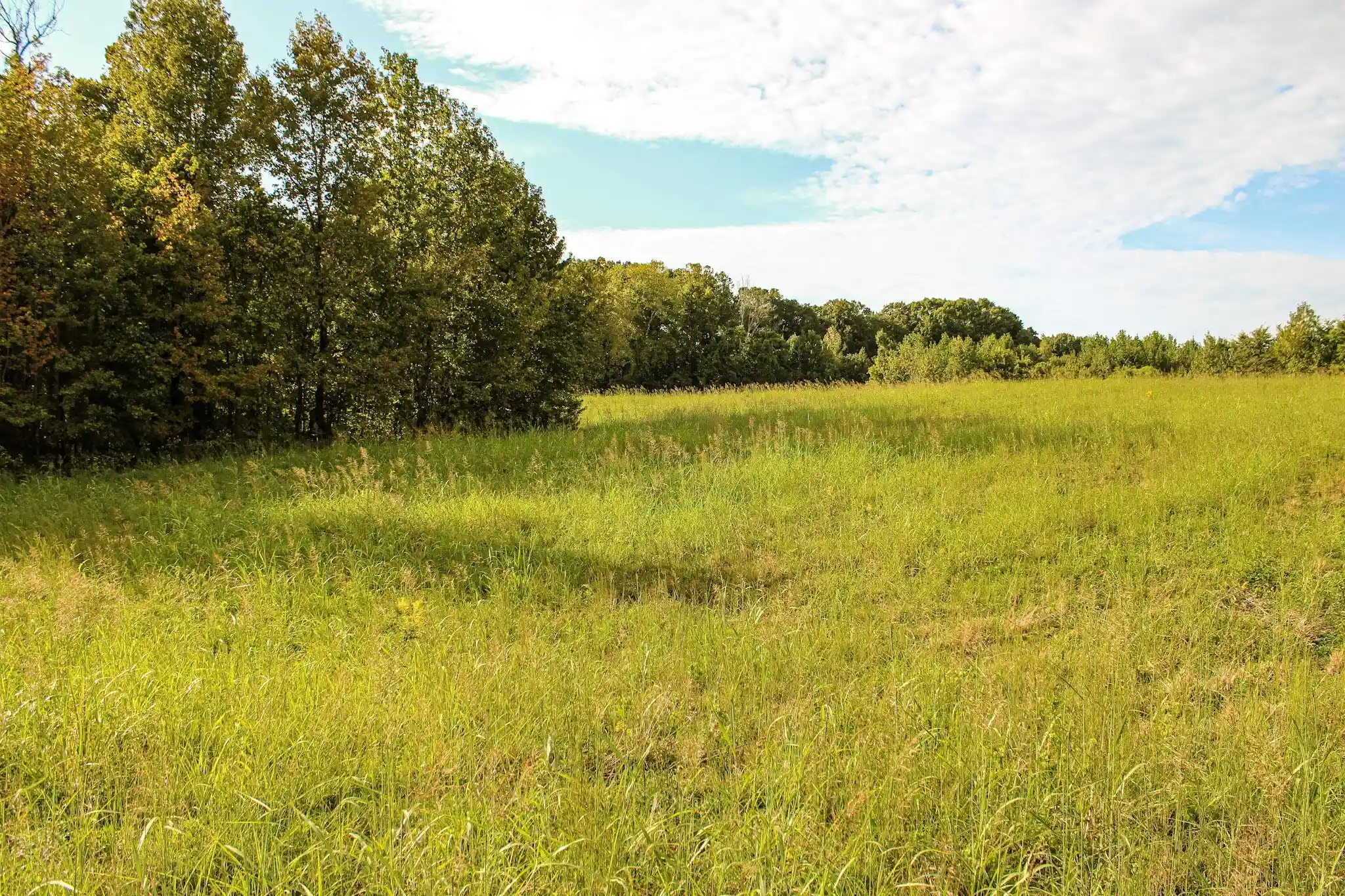 Photo 2 of Land for sale at 0 Dunlap Orphanage Rd, Brighton, TN 38011 | MLS# 10231788 | Listing updated on 2026-10-05
