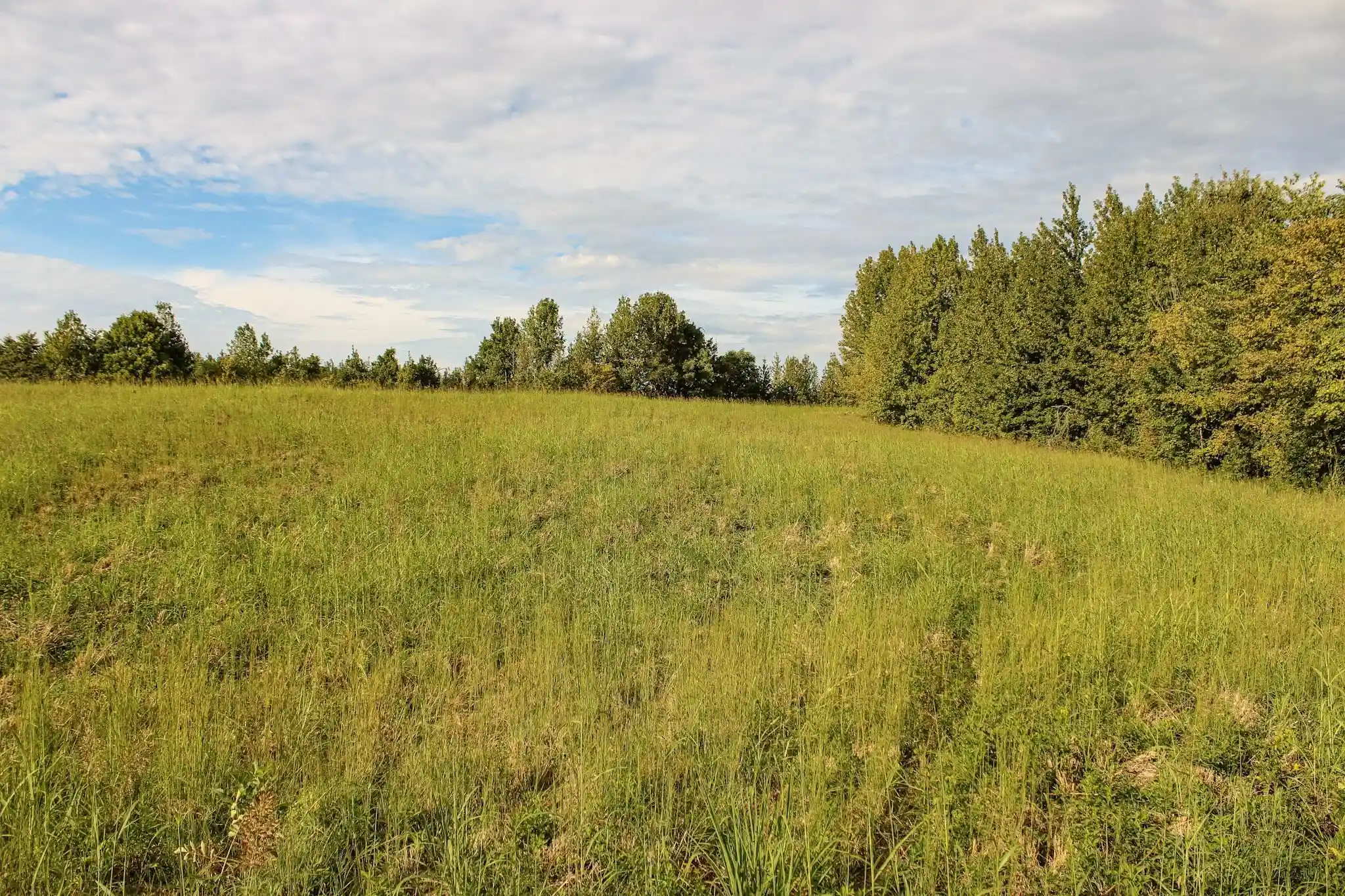 Photo 3 of Land for sale at 0 Dunlap Orphanage Rd, Brighton, TN 38011 | MLS# 10231788 | Listing updated on 2026-10-05