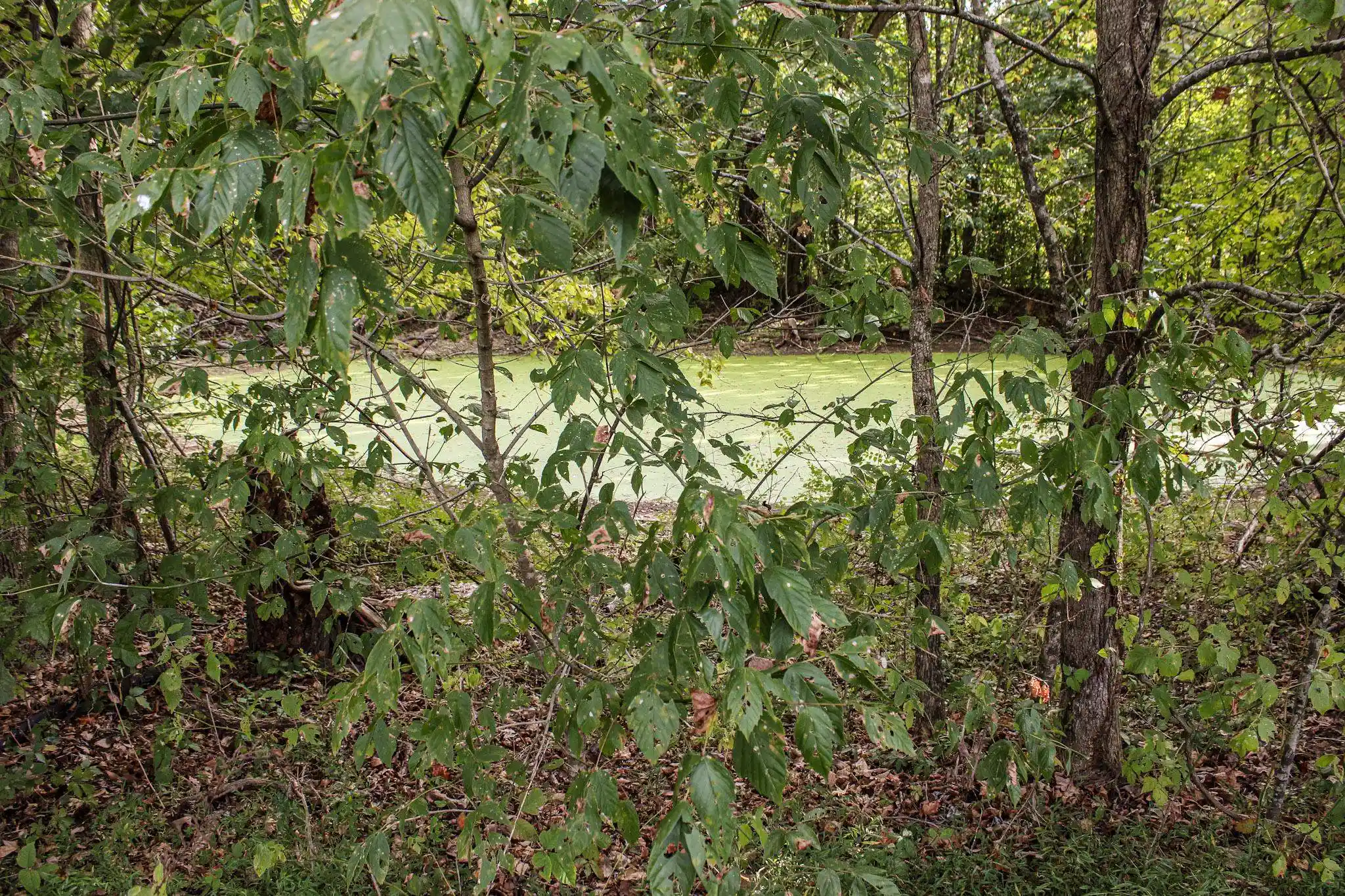 Photo 3 of Land for sale at 0 Dunlap Orphanage Rd, Brighton, TN 38011 | MLS# 10231788 | Listing updated on 2026-10-05