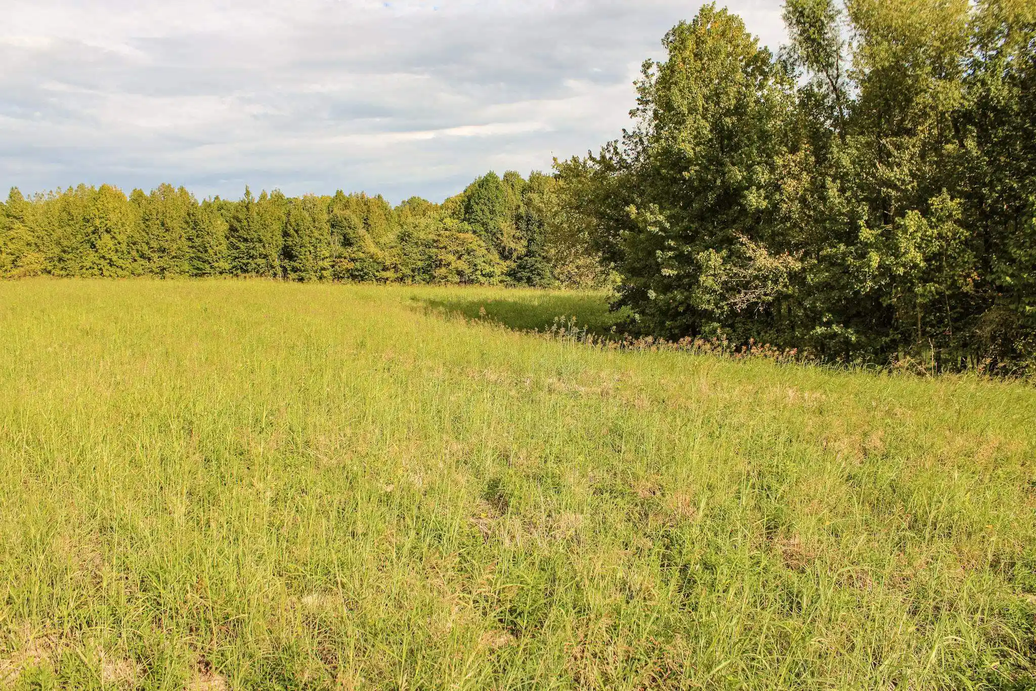 Photo 4 of Land for sale at 0 Dunlap Orphanage Rd, Brighton, TN 38011 | MLS# 10231788 | Listing updated on 2026-10-05