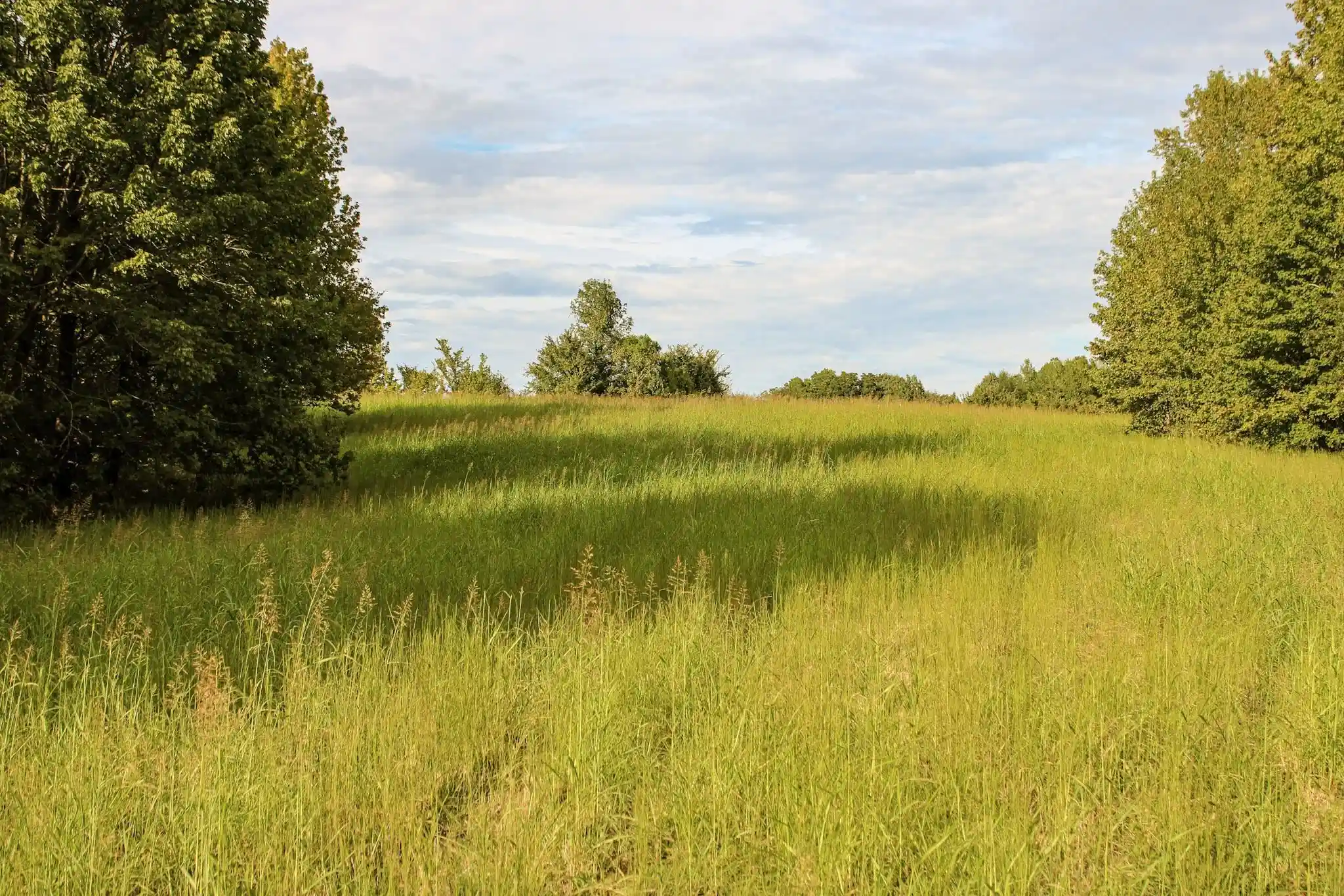 Photo 32 of Land for sale at 0 Dunlap Orphanage Rd, Brighton, TN 38011 | MLS# 10231788 | Listing updated on 2026-10-05