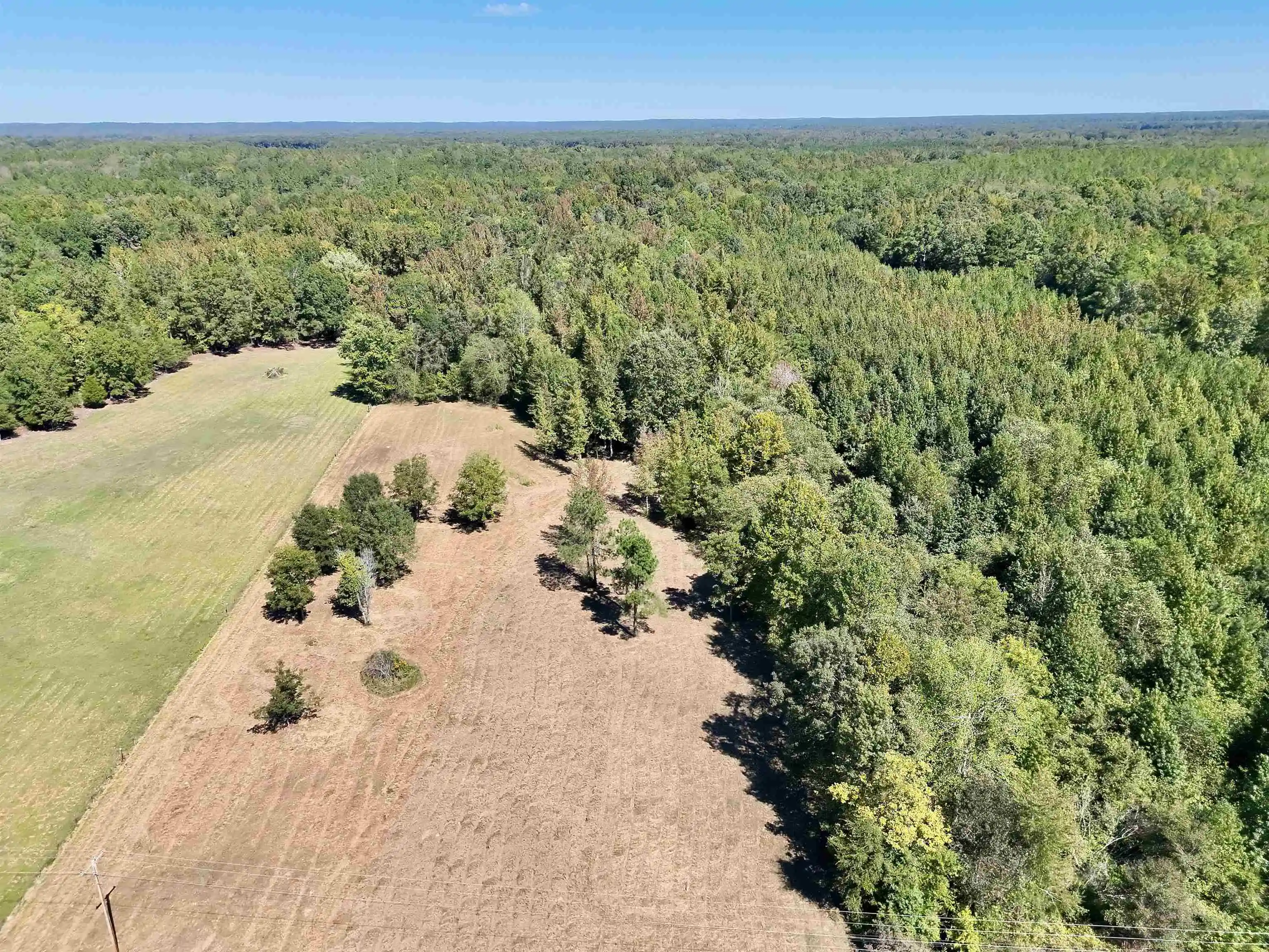 Photo 1 of Land for sale at 00 Pea Vine Rd, Middleton, TN 38052 | MLS# 10231789 | Listing updated on 2026-10-05