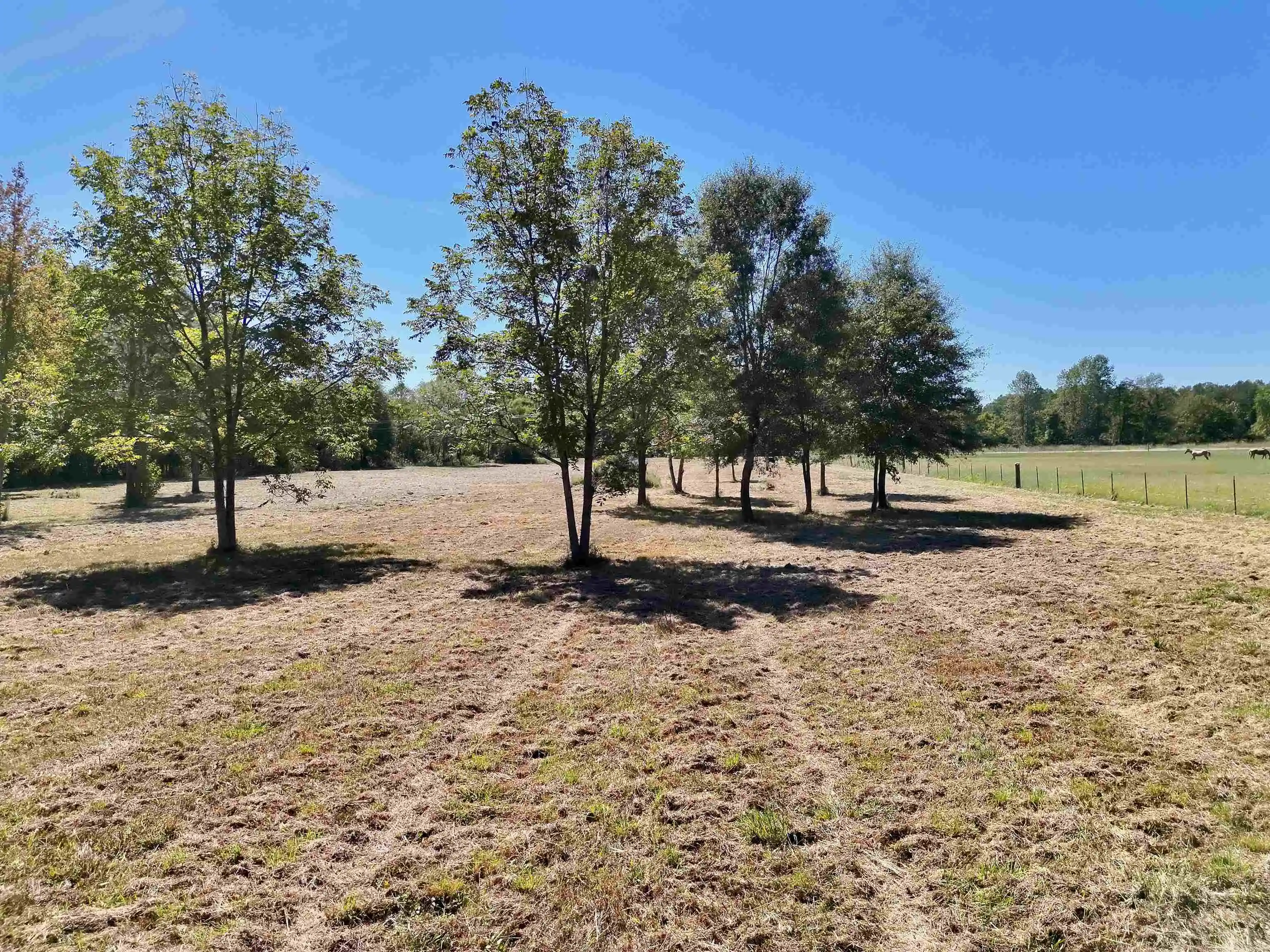 Photo 2 of Land for sale at 00 Pea Vine Rd, Middleton, TN 38052 | MLS# 10231789 | Listing updated on 2026-10-05