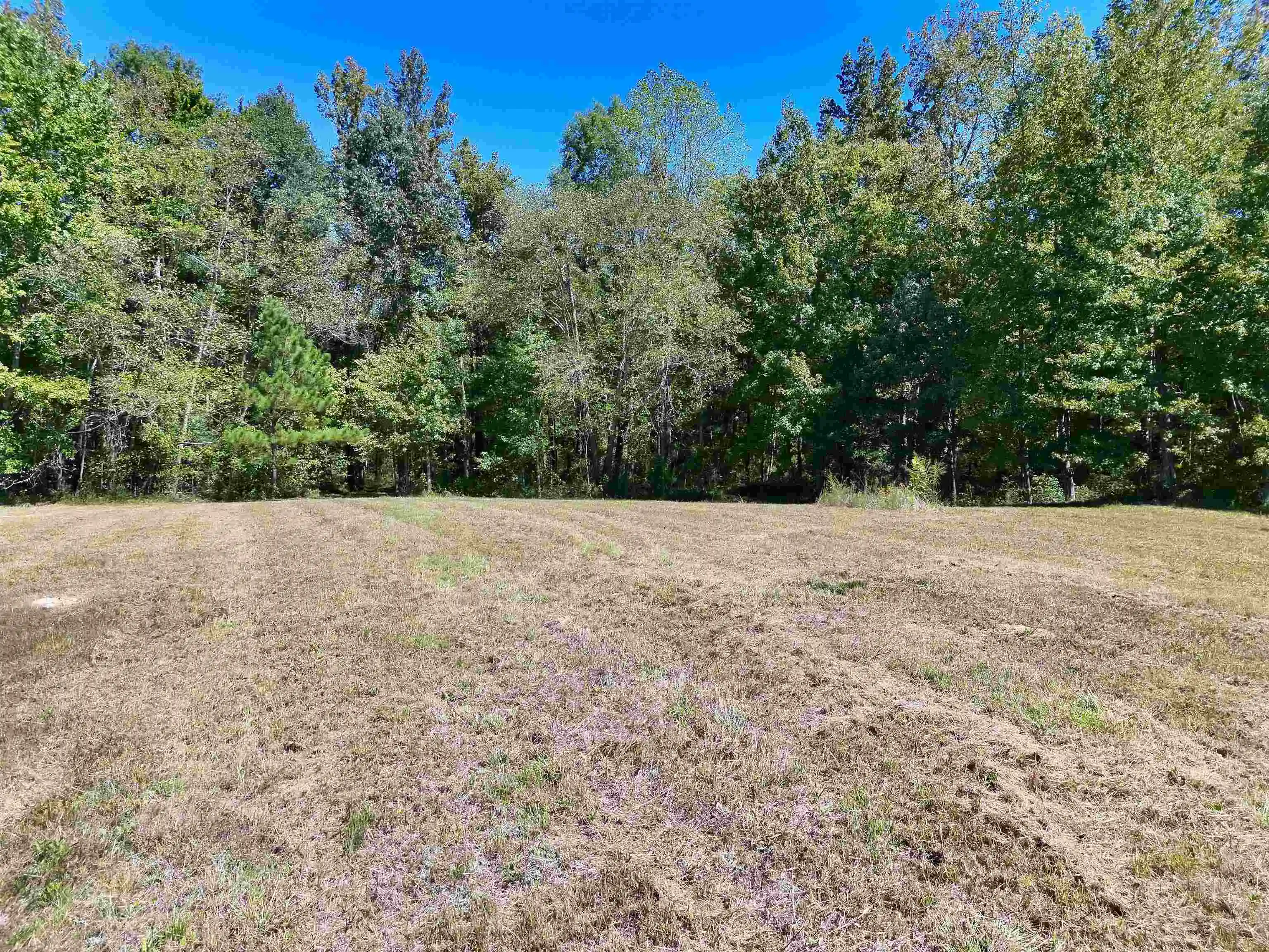 Photo 3 of Land for sale at 00 Pea Vine Rd, Middleton, TN 38052 | MLS# 10231789 | Listing updated on 2026-10-05