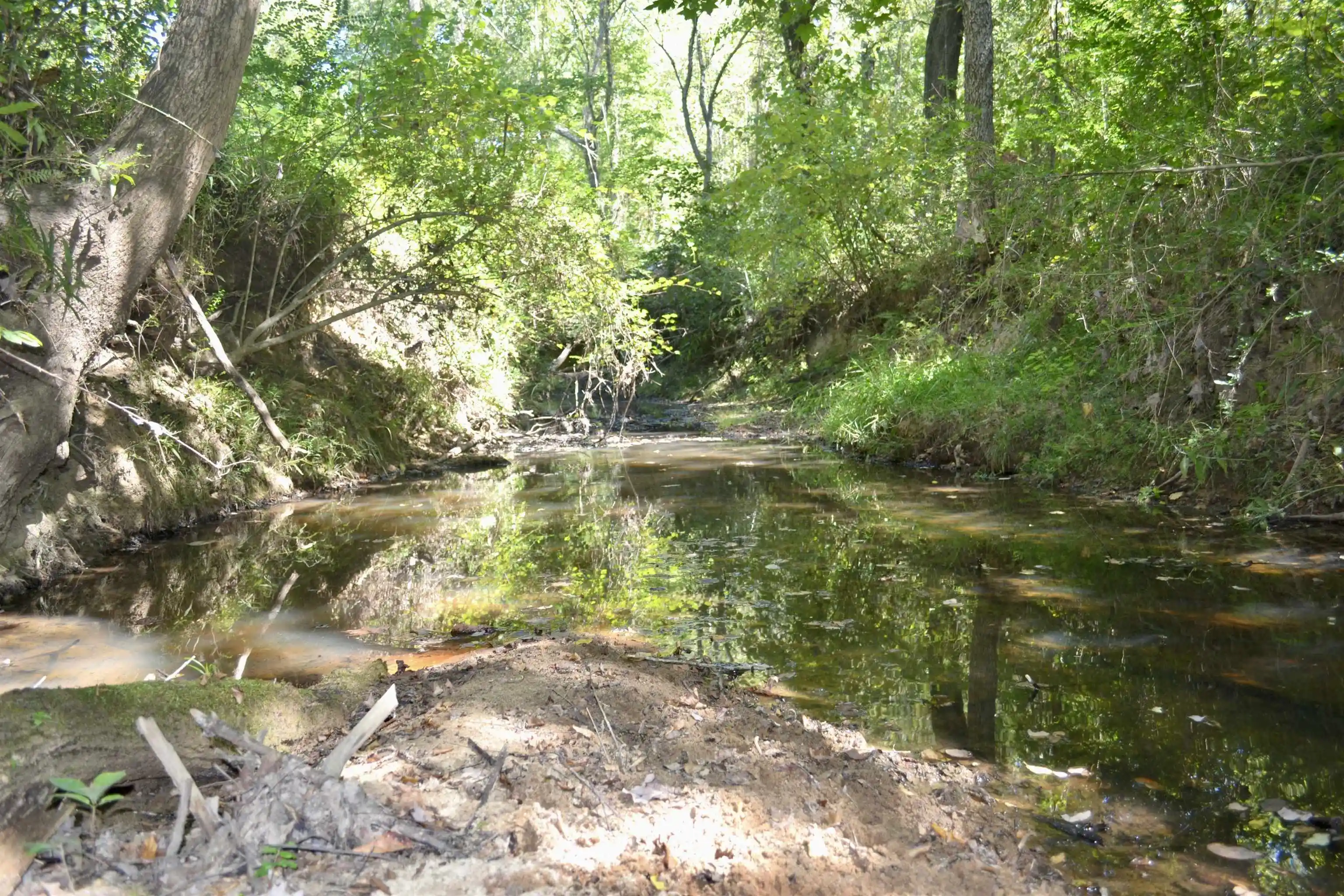 Photo 3 of Land for sale at 00 Pea Vine Rd, Middleton, TN 38052 | MLS# 10231789 | Listing updated on 2026-10-05