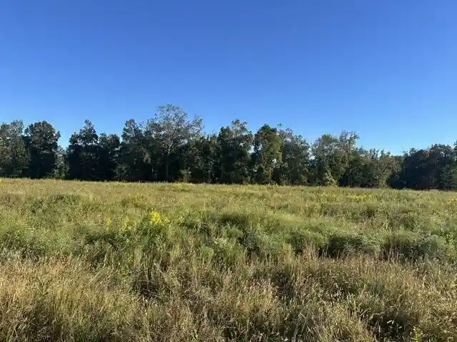Photo 3 of Land for sale at Lot 138 Cravens Rd, Savannah, TN 38372 | MLS# 10231812 | Listing updated on 2026-10-06