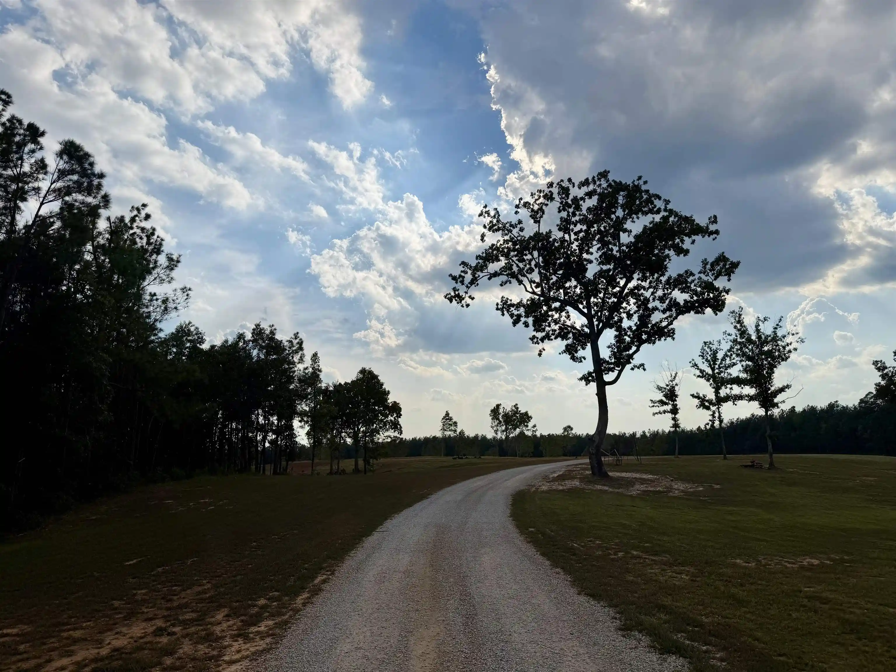 Photo 3 of Land for sale at 0 Kendrick Rd, Michie, TN 38357 | MLS# 10231819 | Listing updated on 2026-10-06
