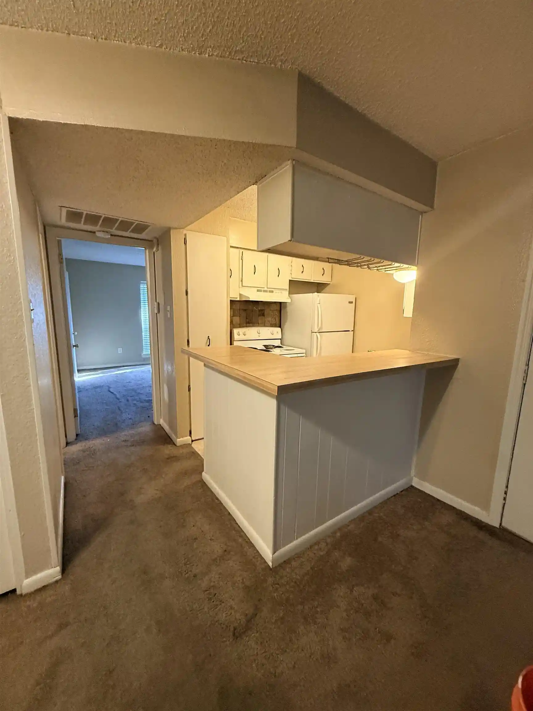 Listing Photo 4 - Condo for sale in building located at 6761 Quail Holw Ct, Memphis, TN 38120 - Unit #3