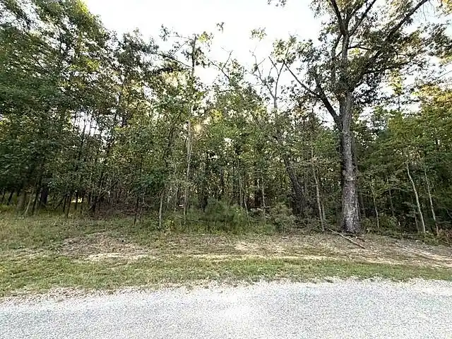Photo 1 of Land for sale at 57 Timber Ridge Dr, Counce, TN 38326 | MLS# 10231889 | Listing updated on 2026-10-06