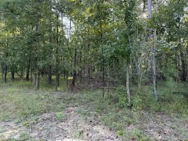 Photo 3 of Land for sale at 57 Timber Ridge Dr, Counce, TN 38326 | MLS# 10231889 | Listing updated on 2026-10-06
