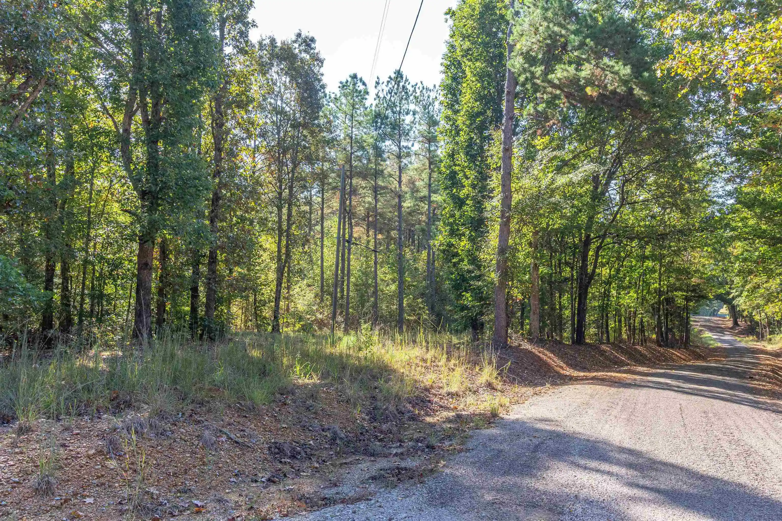 Land for sale at 917 Tull Garner Rd, Bethel Springs, TN 38315 | MLS# 10231940