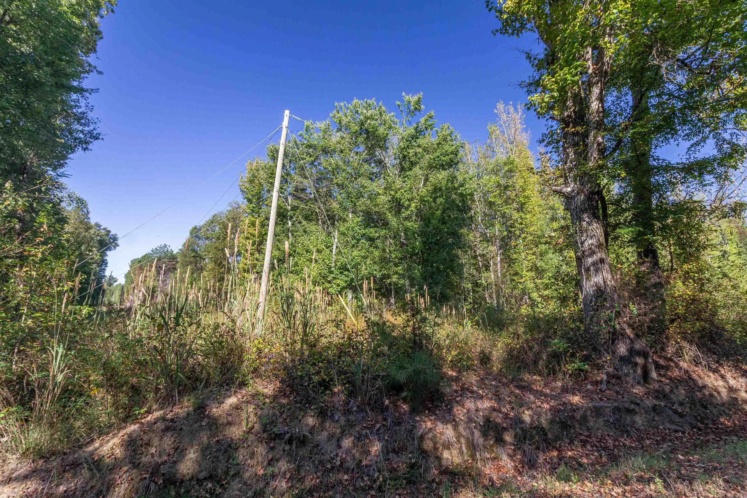 Photo 2 of Land for sale at 917 Tull Garner Rd, Bethel Springs, TN 38315 | MLS# 10231940 | Listing updated on 2026-10-07