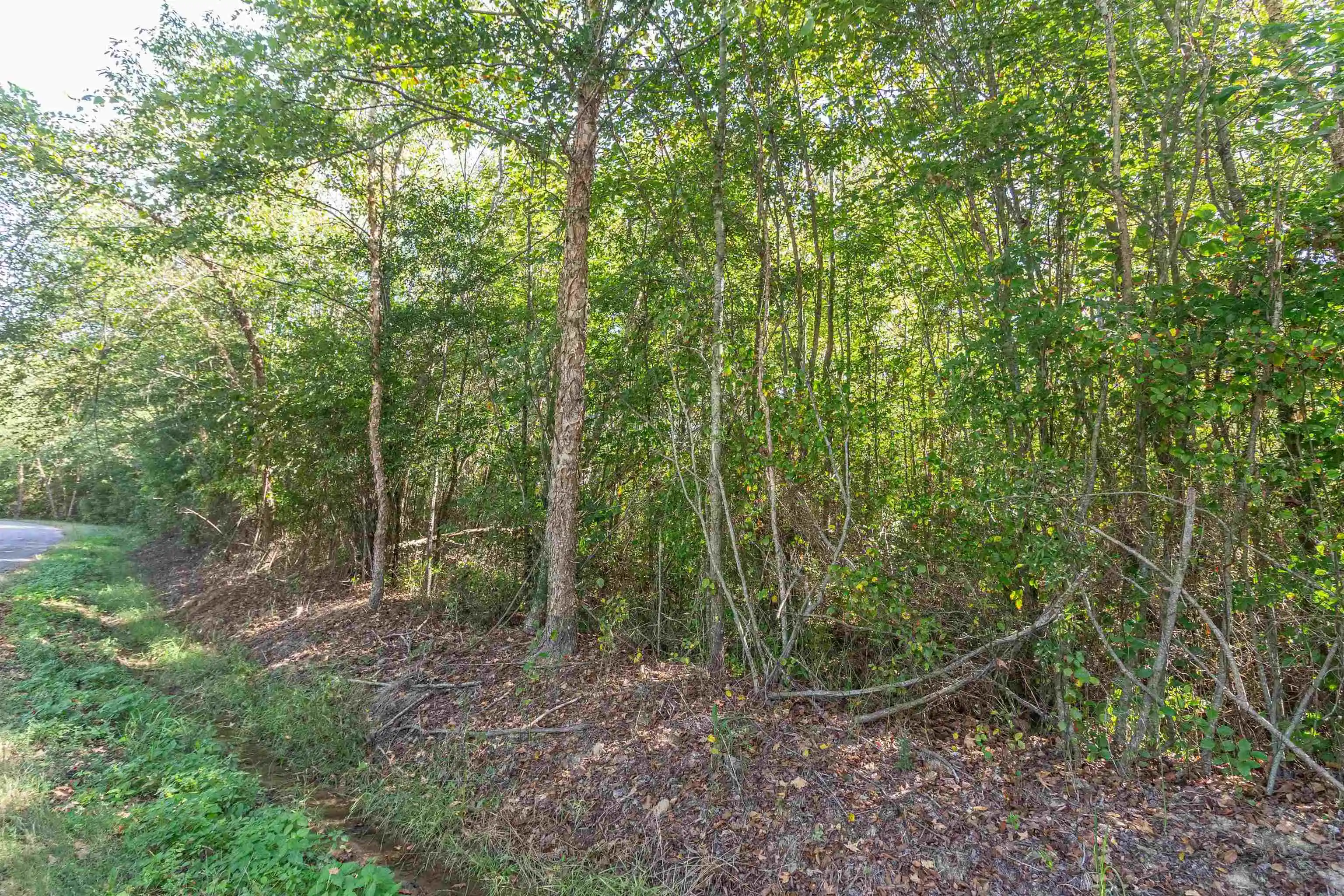 Photo 3 of Land for sale at 917 Tull Garner Rd, Bethel Springs, TN 38315 | MLS# 10231940 | Listing updated on 2026-10-07