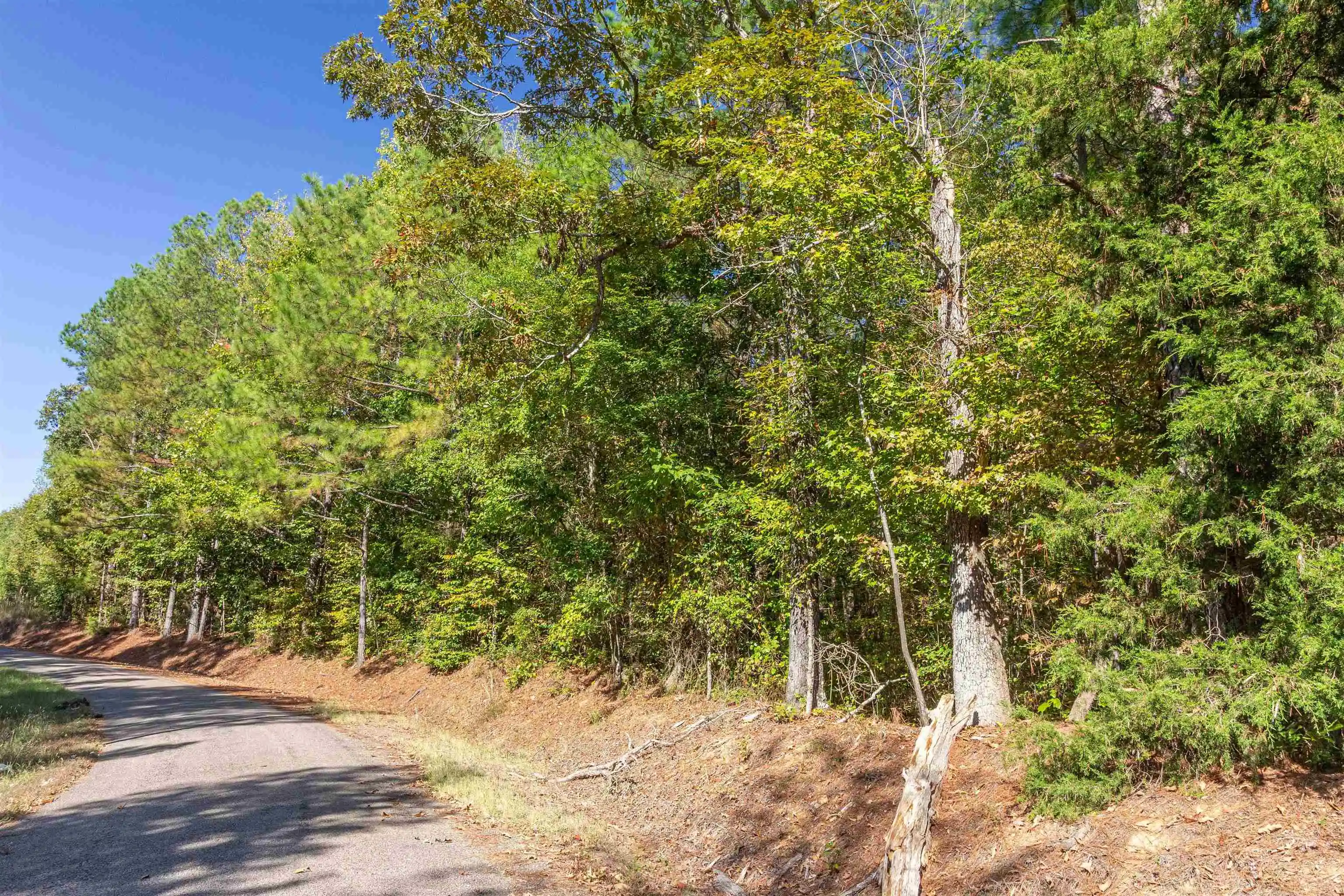 Photo 4 of Land for sale at 917 Tull Garner Rd, Bethel Springs, TN 38315 | MLS# 10231940 | Listing updated on 2026-10-07