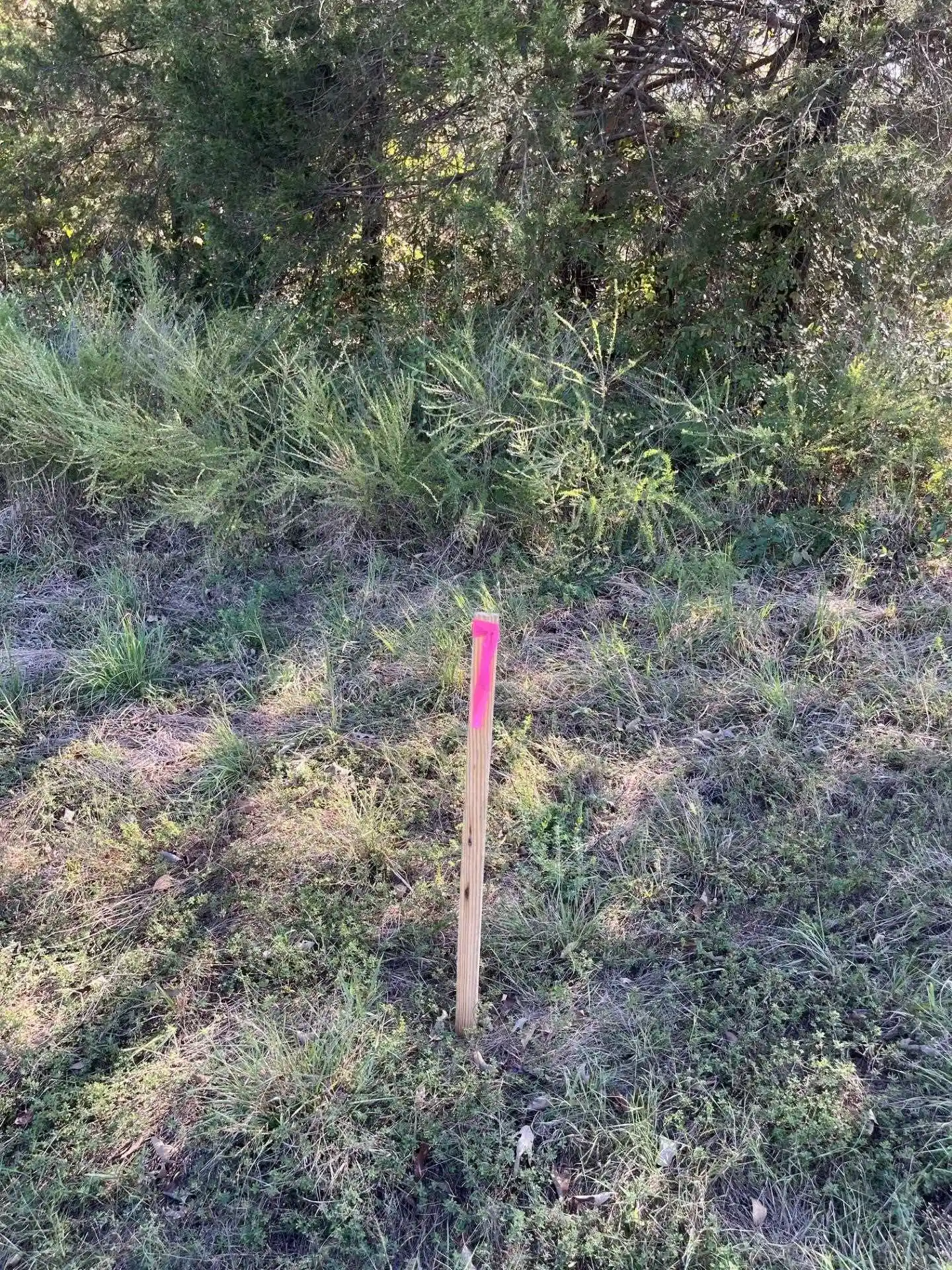 Photo 1 of Land for sale at 1400 N Bruce Rd, Whiteville, TN 38075 | MLS# 10232061 | Listing updated on 2026-10-09