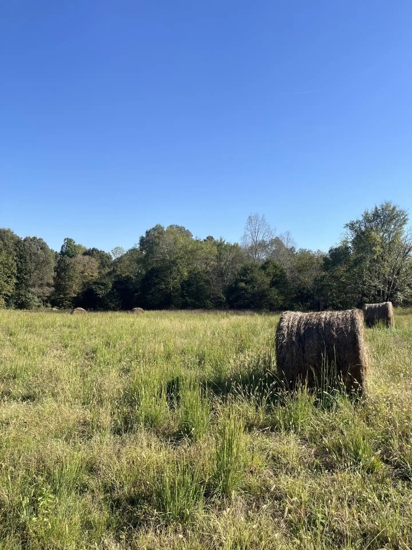 Photo 2 of Land for sale at 1400 N Bruce Rd, Whiteville, TN 38075 | MLS# 10232061 | Listing updated on 2026-10-09