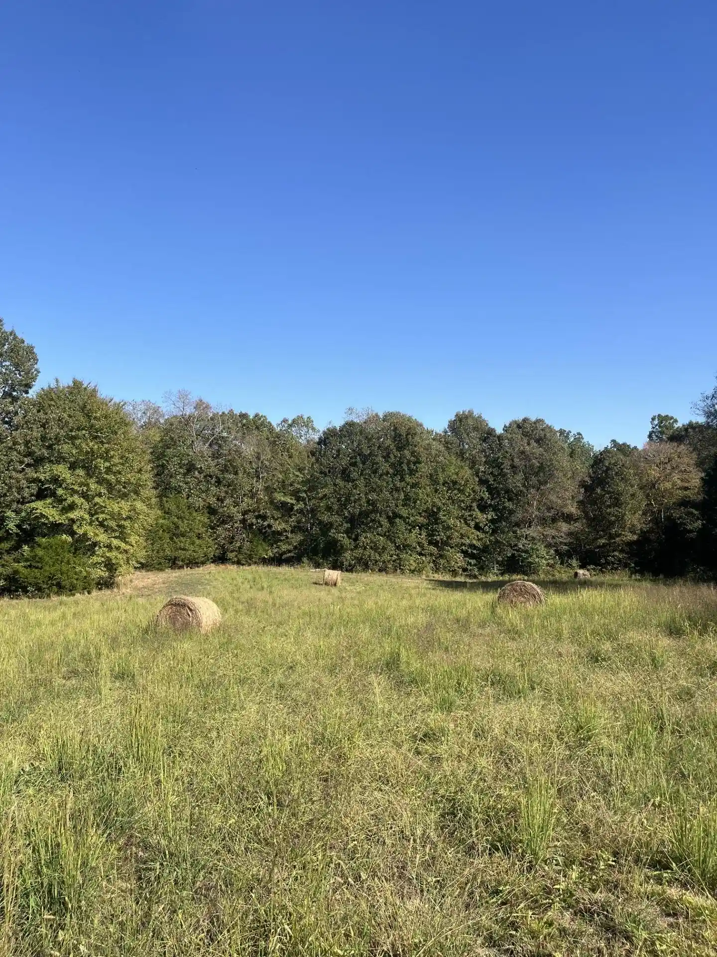 Photo 3 of Land for sale at 1400 N Bruce Rd, Whiteville, TN 38075 | MLS# 10232061 | Listing updated on 2026-10-09