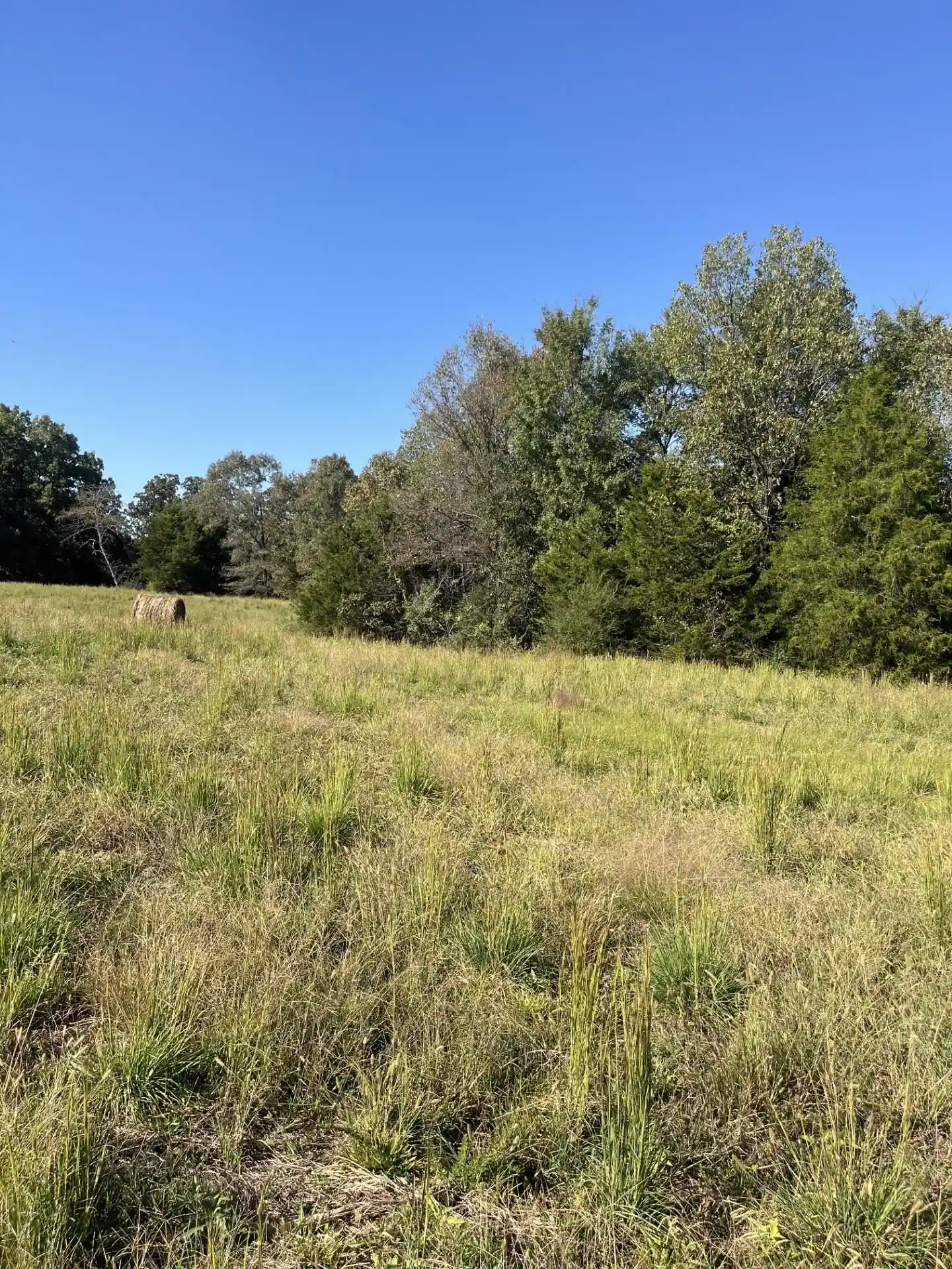 Photo 4 of Land for sale at 1400 N Bruce Rd, Whiteville, TN 38075 | MLS# 10232061 | Listing updated on 2026-10-09