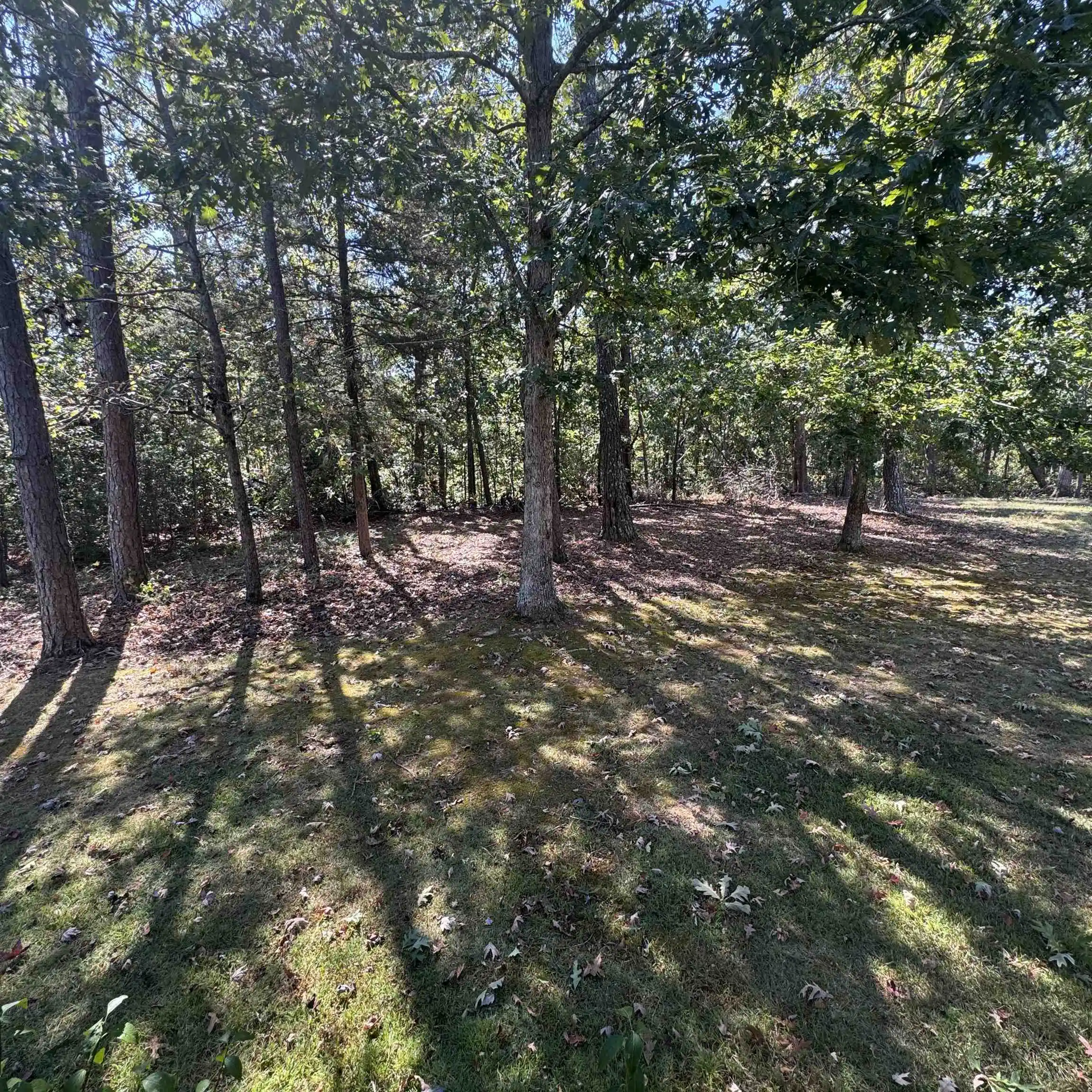 Photo 3 of Single family home for sale at 13 Josh Jct St, Iuka, MS 38852 | MLS# 10232112 | Listing updated on 2026-10-09