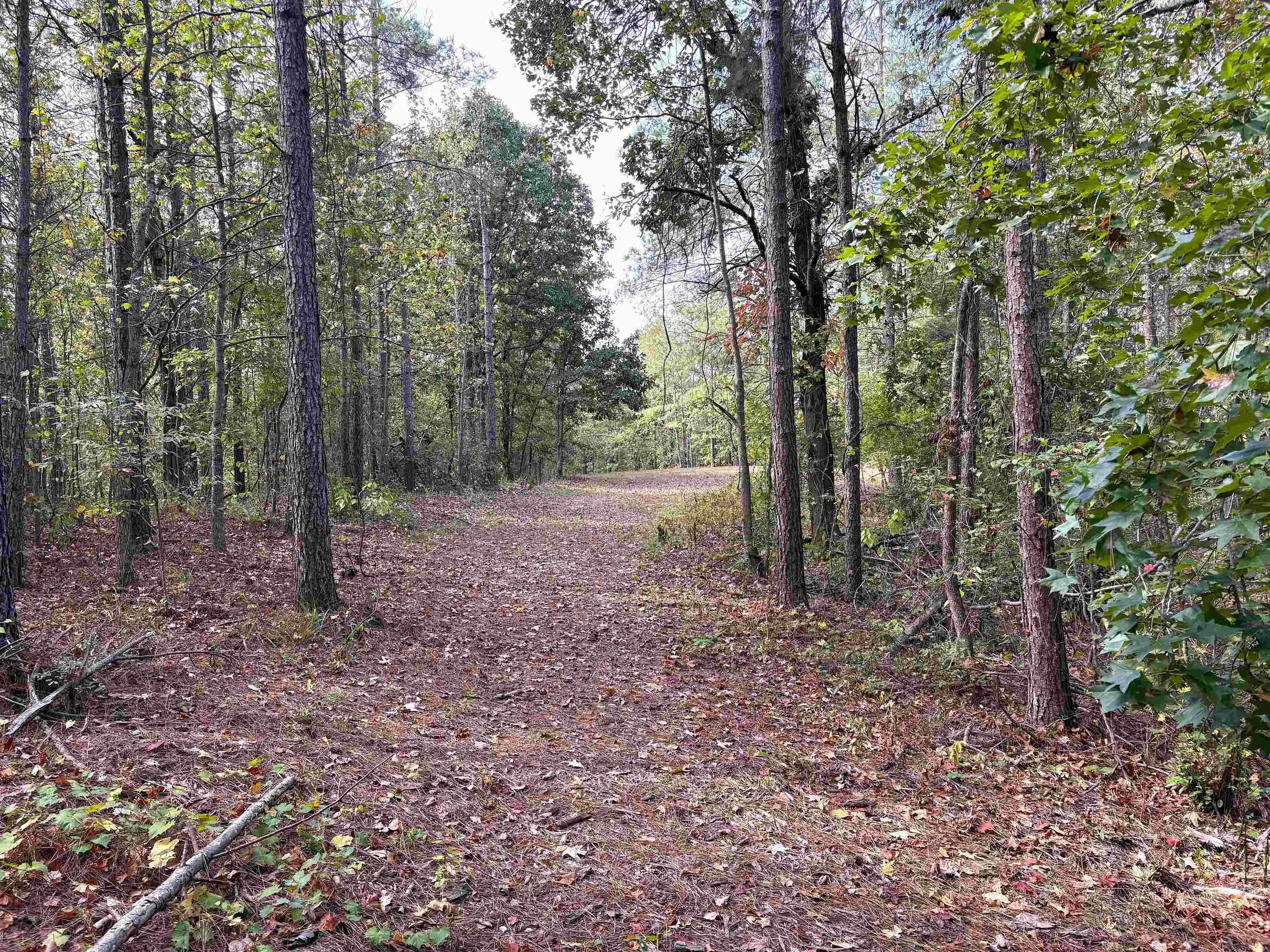 Photo 1 of Land for sale at 2474 Joiner Rd, Batesville, MS 38606 | MLS# 10232137 | Listing updated on 2026-10-09