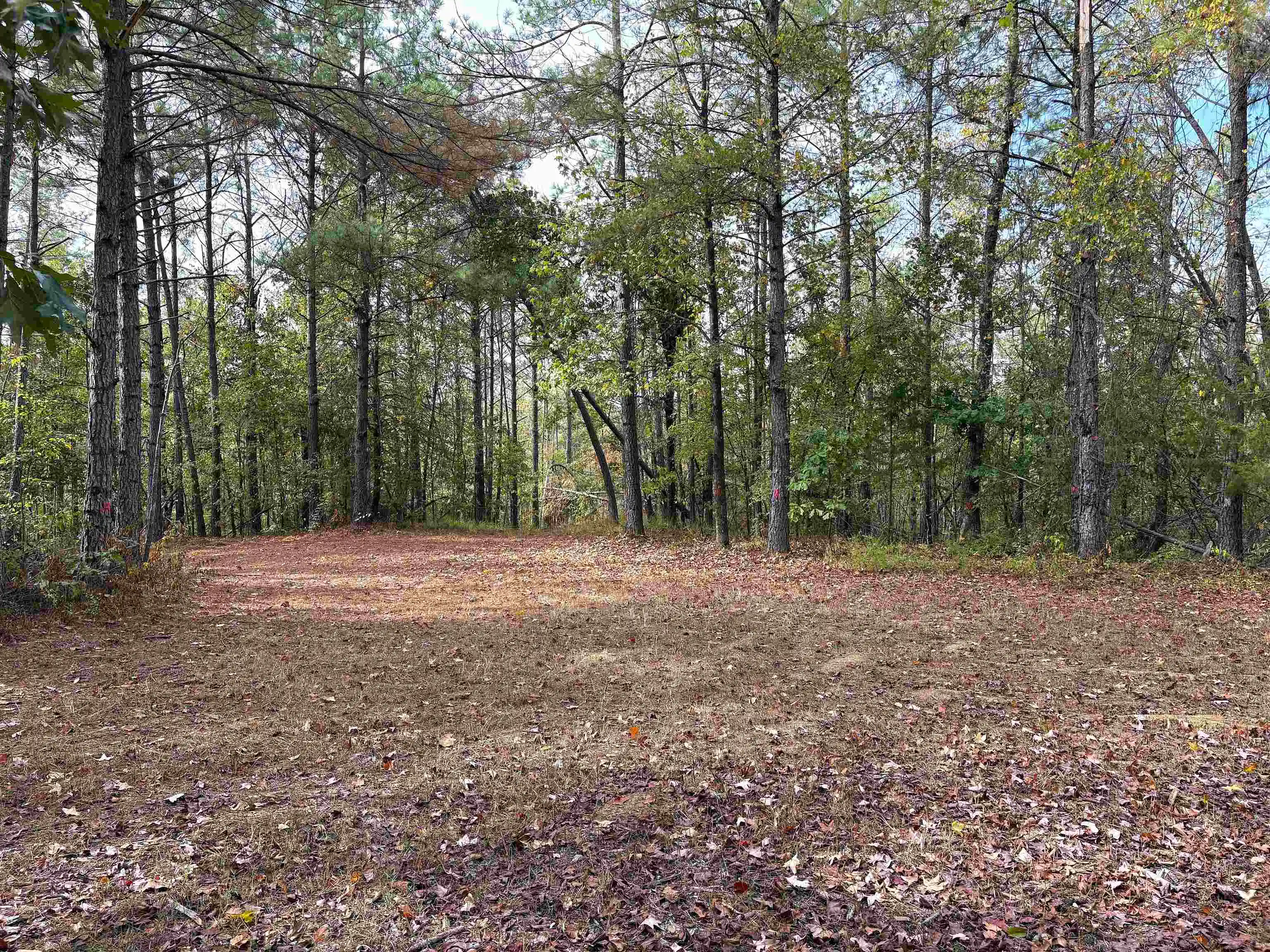 Photo 3 of Land for sale at 2474 Joiner Rd, Batesville, MS 38606 | MLS# 10232137 | Listing updated on 2026-10-09