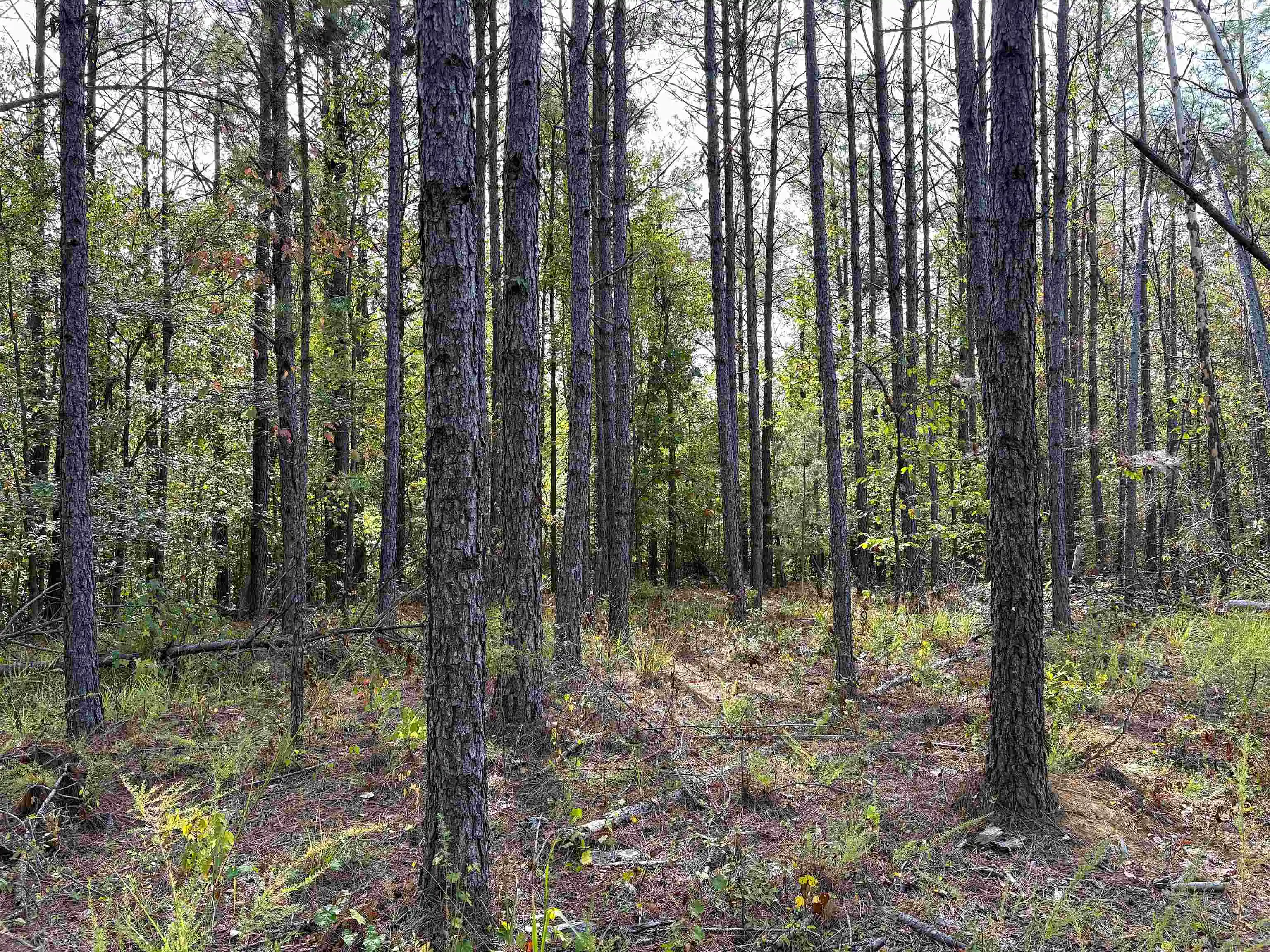 Photo 3 of Land for sale at 2474 Joiner Rd, Batesville, MS 38606 | MLS# 10232137 | Listing updated on 2026-10-09
