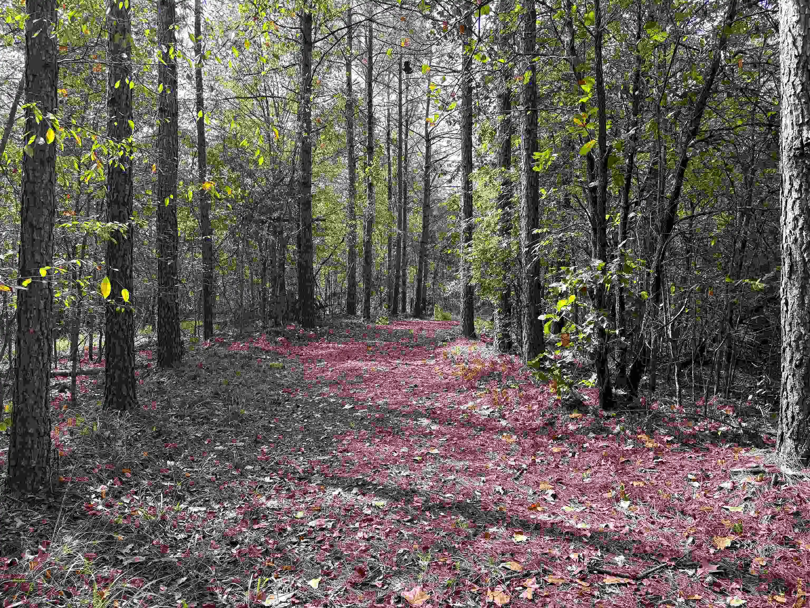 Photo 4 of Land for sale at 2474 Joiner Rd, Batesville, MS 38606 | MLS# 10232137 | Listing updated on 2026-10-09