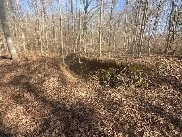 Photo 1 of Land for sale at Tract 1 George Walter Rd, Bolivar, TN 38008 | MLS# 10232239 | Listing updated on 2026-10-12