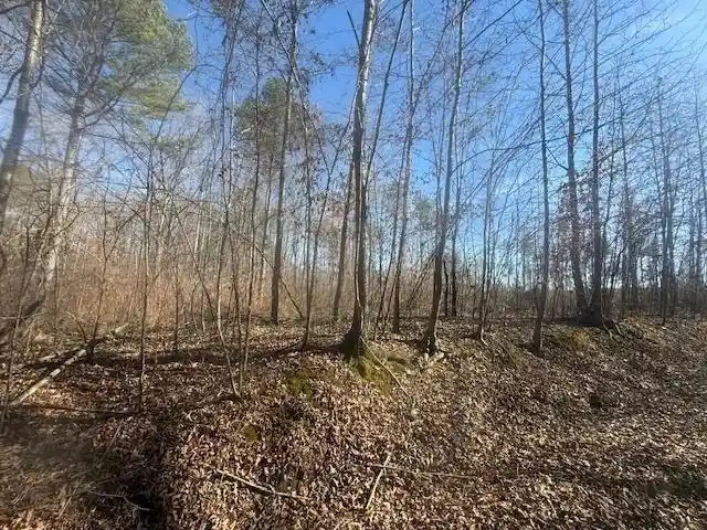 Photo 2 of Land for sale at Tract 1 George Walter Rd, Bolivar, TN 38008 | MLS# 10232239 | Listing updated on 2026-10-12