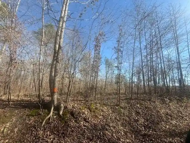 Photo 3 of Land for sale at Tract 1 George Walter Rd, Bolivar, TN 38008 | MLS# 10232239 | Listing updated on 2026-10-12