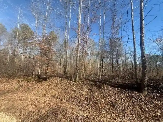 Photo 3 of Land for sale at Tract 1 George Walter Rd, Bolivar, TN 38008 | MLS# 10232239 | Listing updated on 2026-10-12