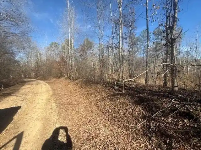 Photo 4 of Land for sale at Tract 1 George Walter Rd, Bolivar, TN 38008 | MLS# 10232239 | Listing updated on 2026-10-12