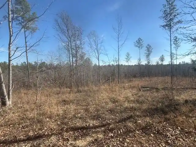 Photo 2 of Land for sale at Tract 4 George Walter Rd, Bolivar, TN 38008 | MLS# 10232240 | Listing updated on 2026-10-12