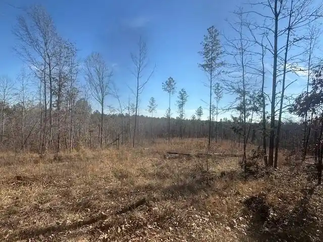 Photo 3 of Land for sale at Tract 4 George Walter Rd, Bolivar, TN 38008 | MLS# 10232240 | Listing updated on 2026-10-12