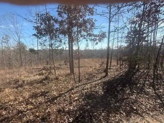 Photo 3 of Land for sale at Tract 4 George Walter Rd, Bolivar, TN 38008 | MLS# 10232240 | Listing updated on 2026-10-12