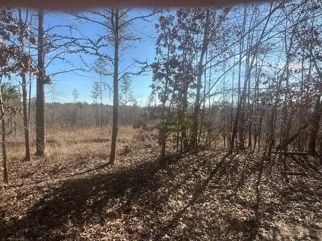 Photo 4 of Land for sale at Tract 4 George Walter Rd, Bolivar, TN 38008 | MLS# 10232240 | Listing updated on 2026-10-12