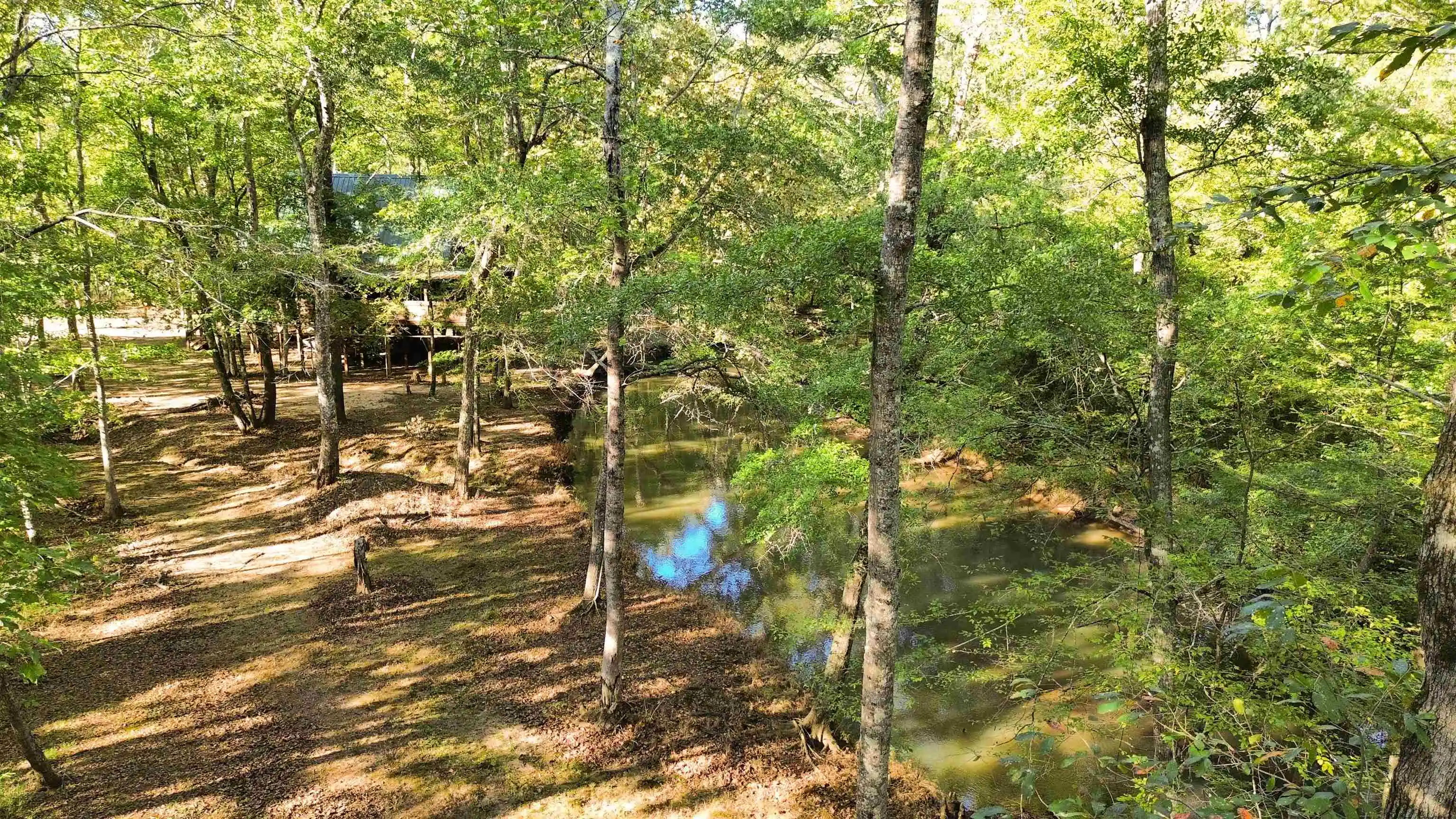 Photo 3 of Land for sale at 2895 Sain Rd, Bolivar, TN 38008 | MLS# 10232248 | Listing updated on 2026-10-12