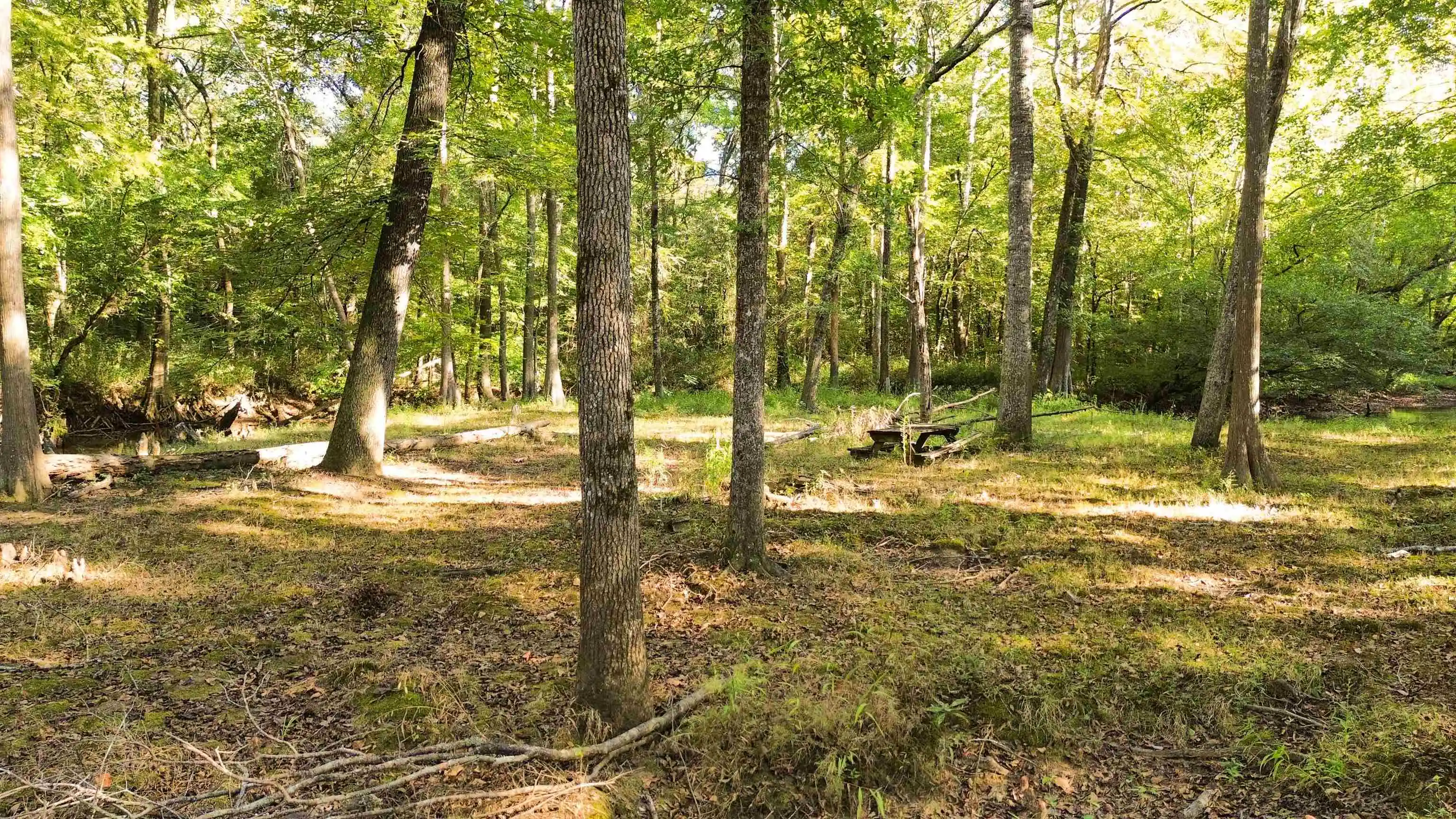 Photo 3 of Land for sale at 2895 Sain Rd, Bolivar, TN 38008 | MLS# 10232248 | Listing updated on 2026-10-12