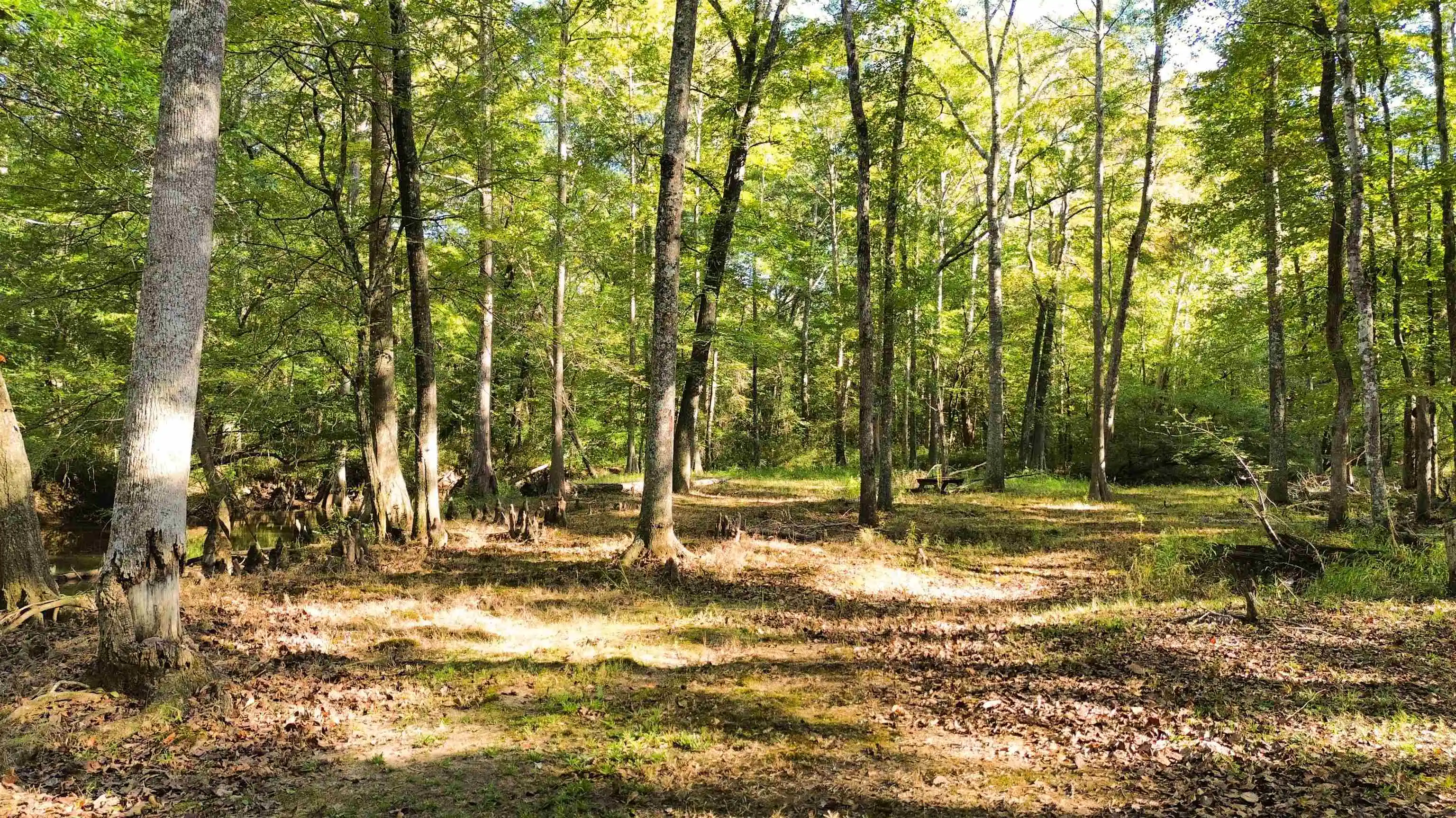 Photo 4 of Land for sale at 2895 Sain Rd, Bolivar, TN 38008 | MLS# 10232248 | Listing updated on 2026-10-12