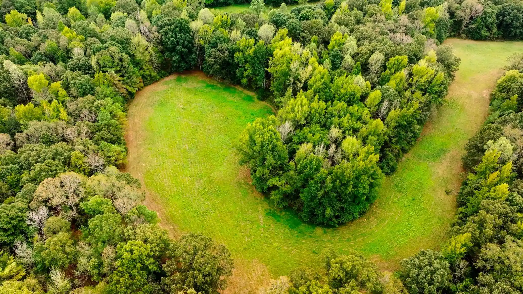Photo 2 of Land for sale at 0 Gilliand Rd, Medon, TN 38356 | MLS# 10232434 | Listing updated on 2026-10-14